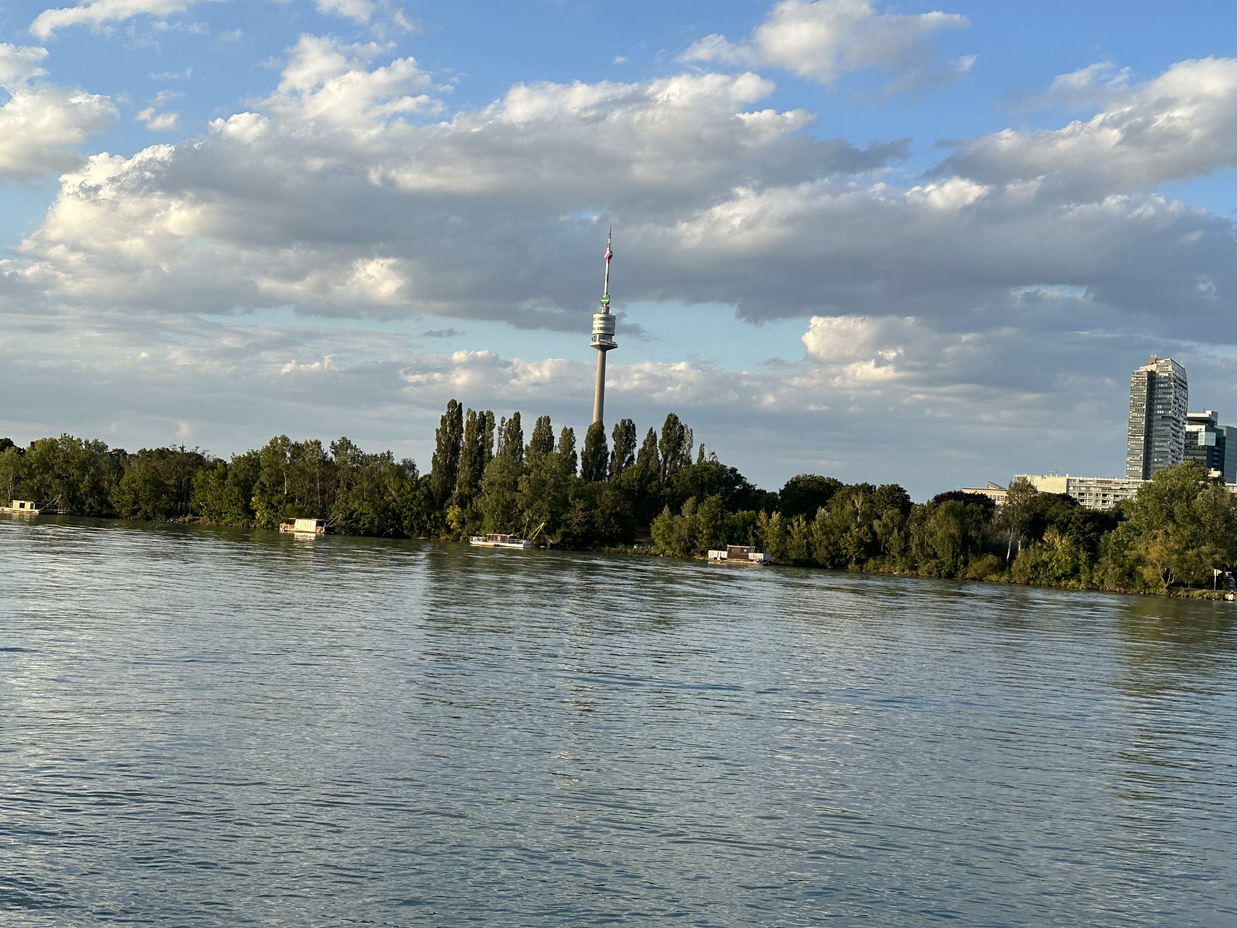 IMG_6386.jpeg