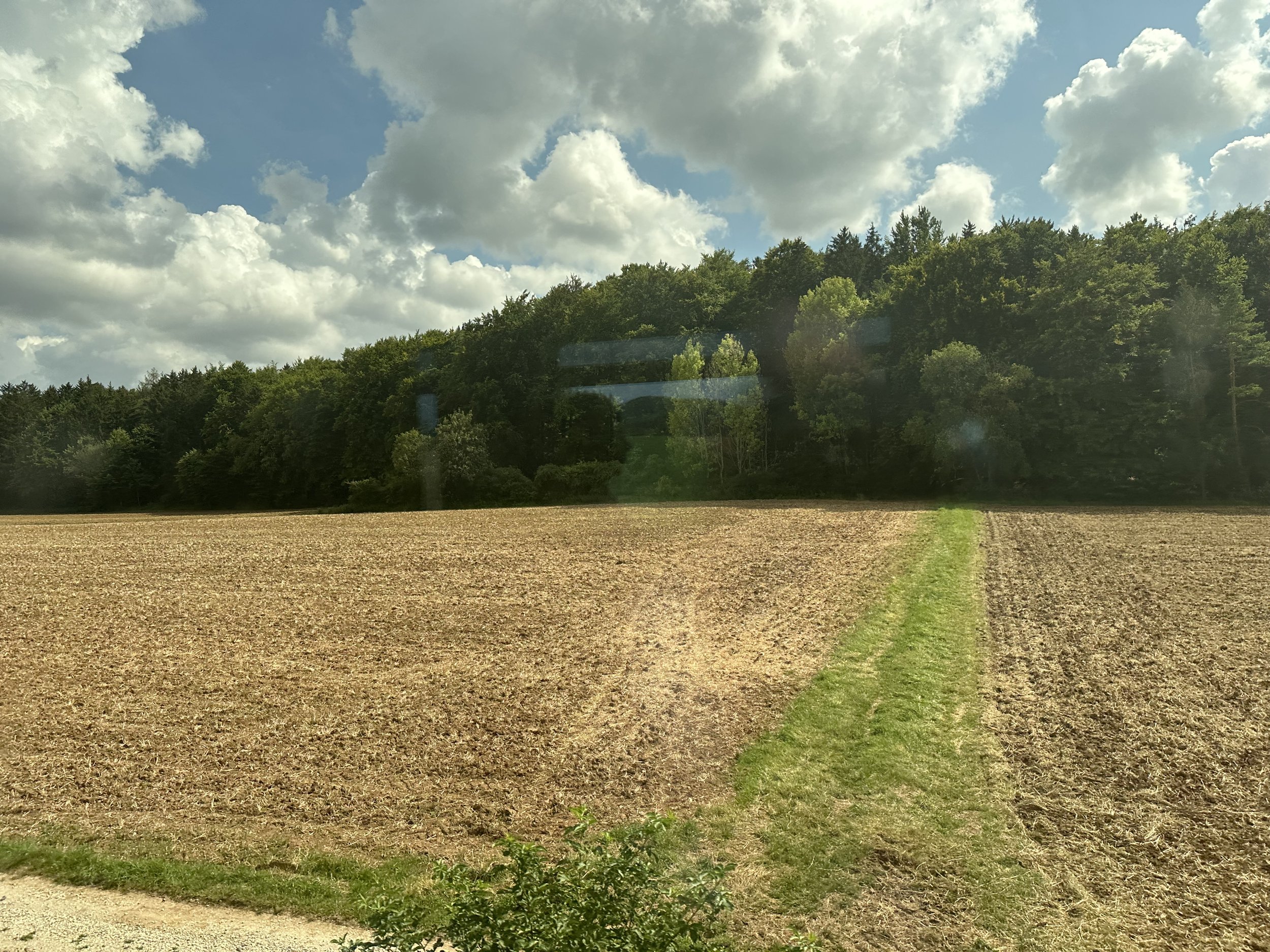 IMG_5250.jpeg