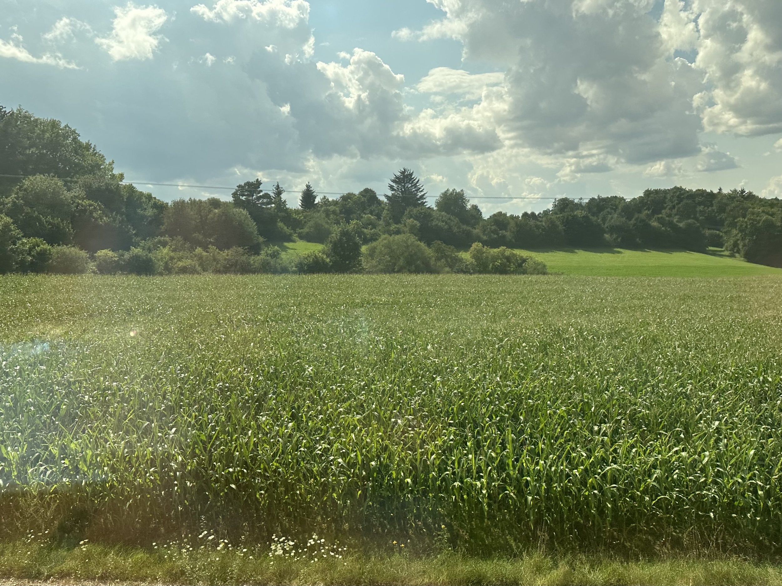 IMG_5254.jpeg