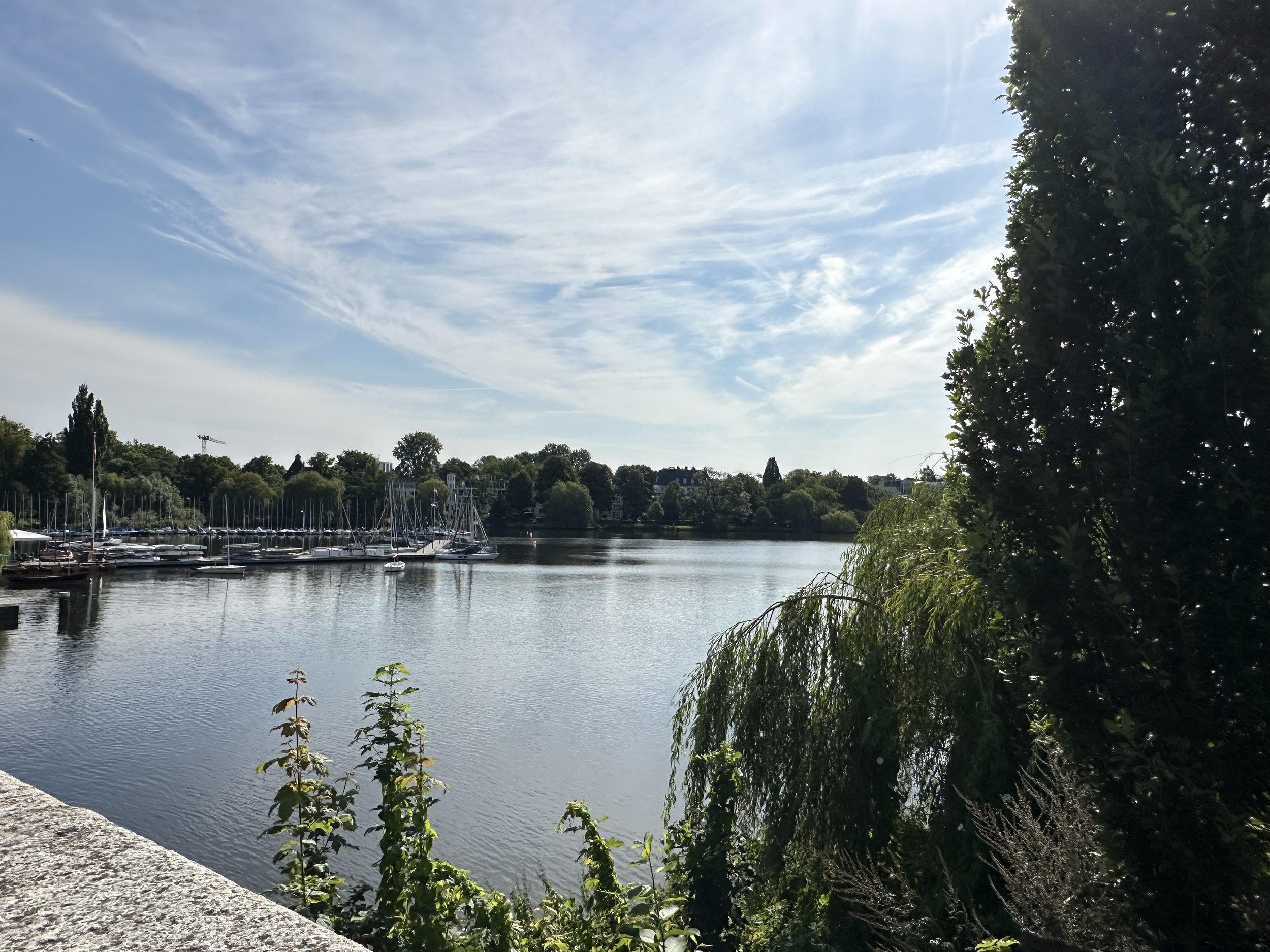 IMG_4540.jpeg