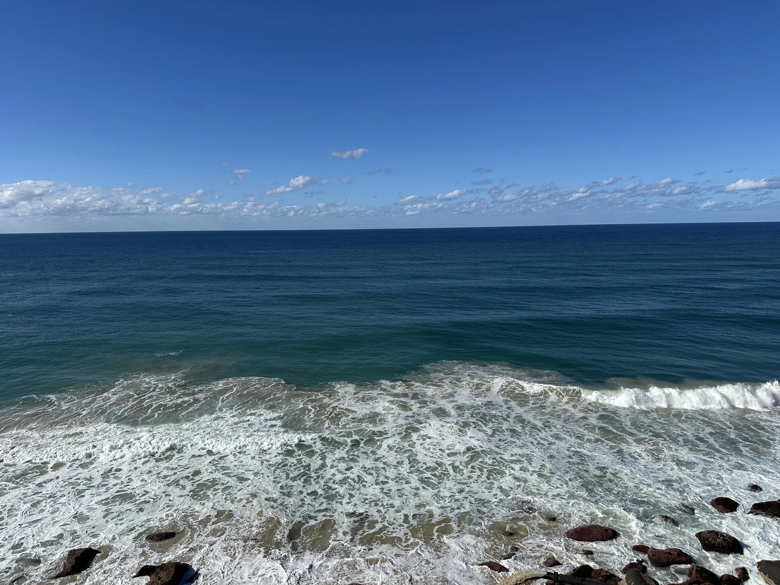 IMG_9406.jpeg