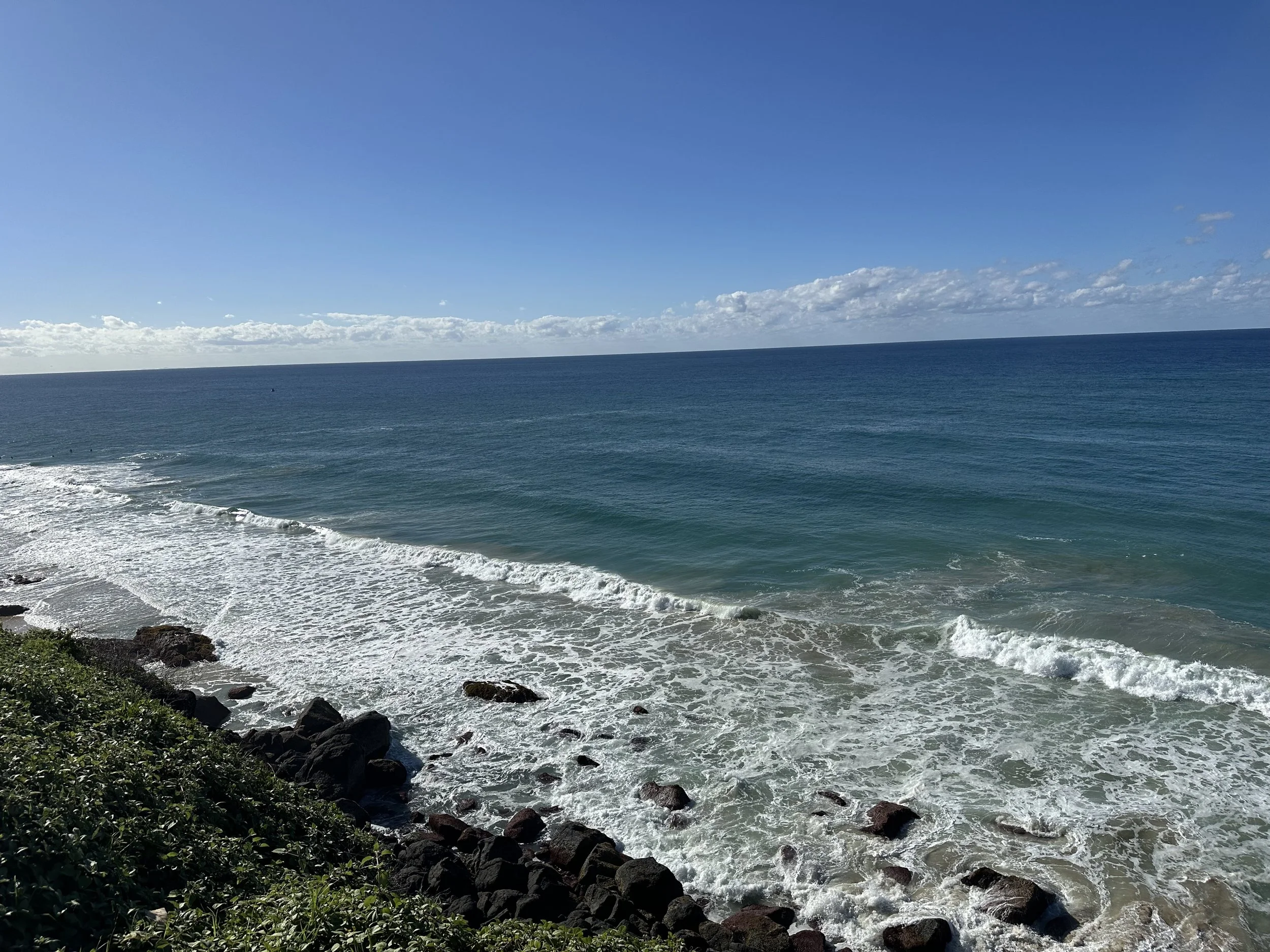 IMG_9408.jpeg