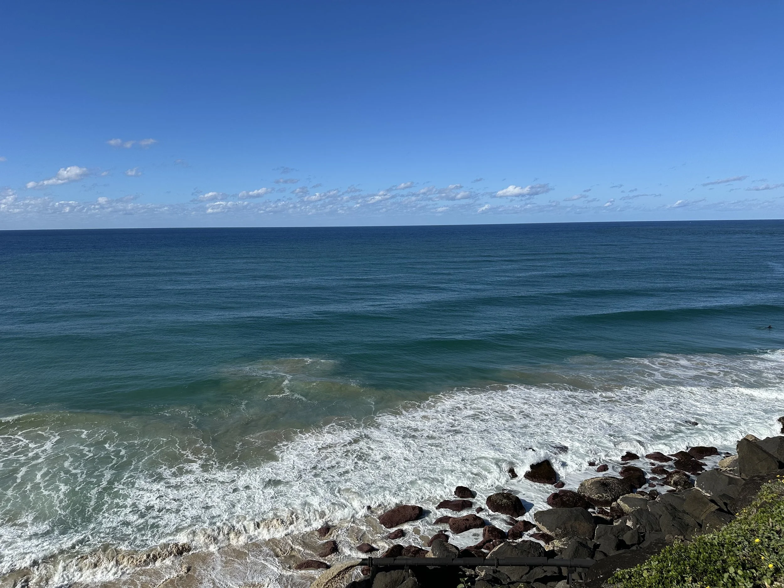 IMG_9409.jpeg