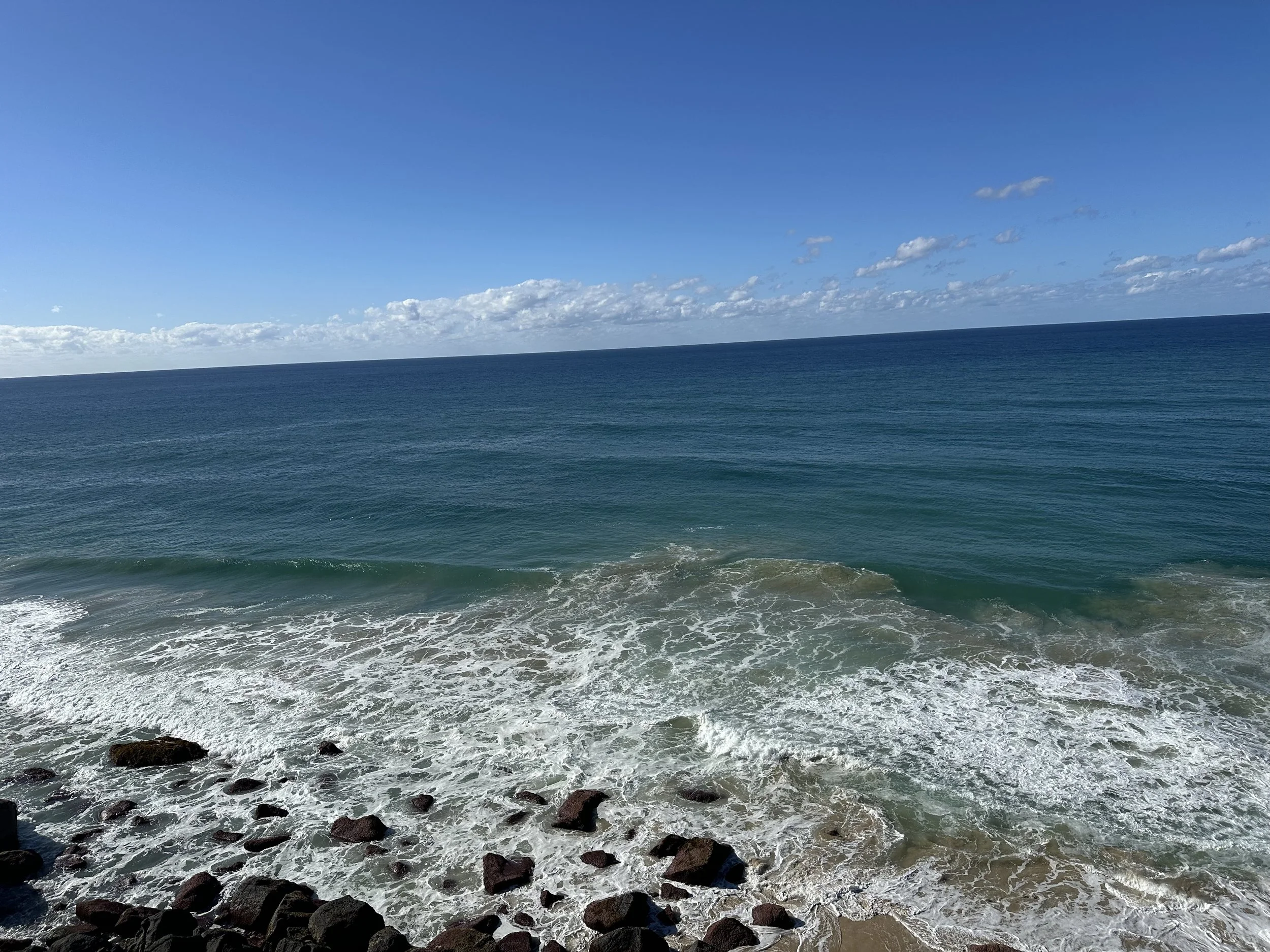 IMG_9407.jpeg