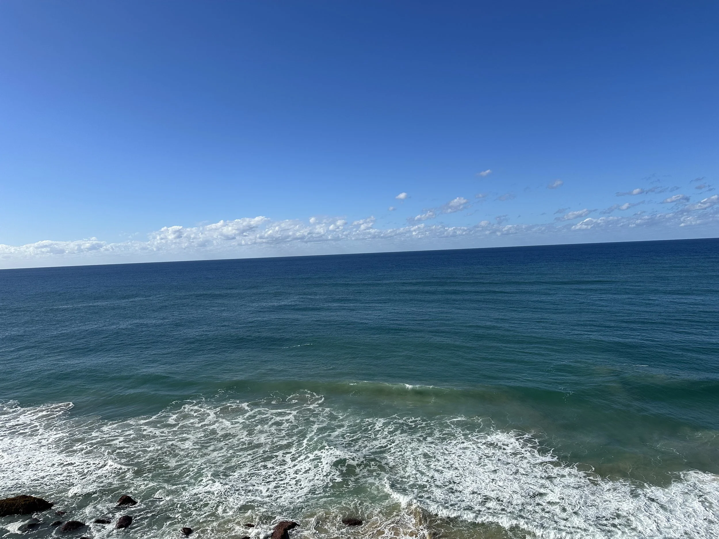 IMG_9413.jpeg
