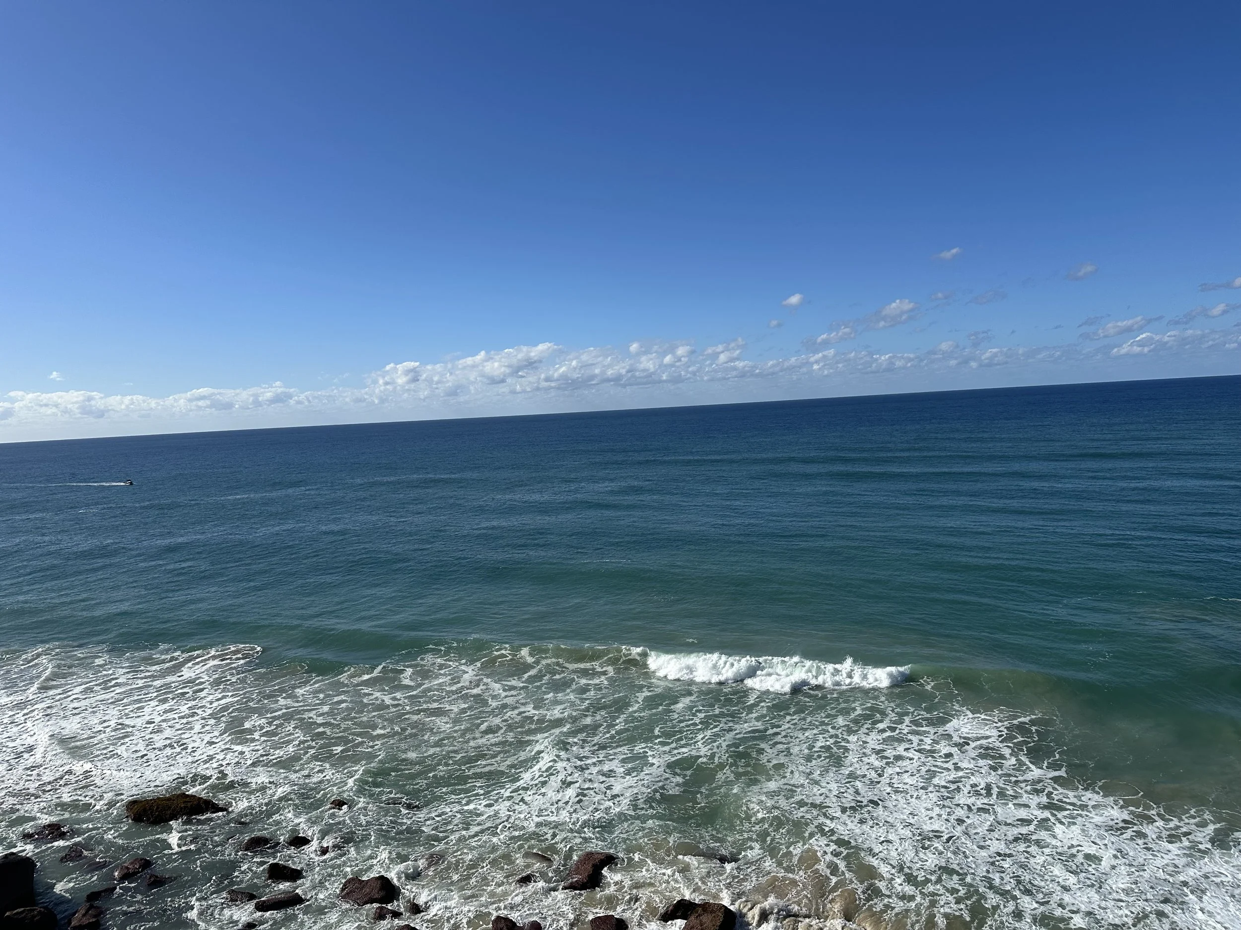 IMG_9414.jpeg