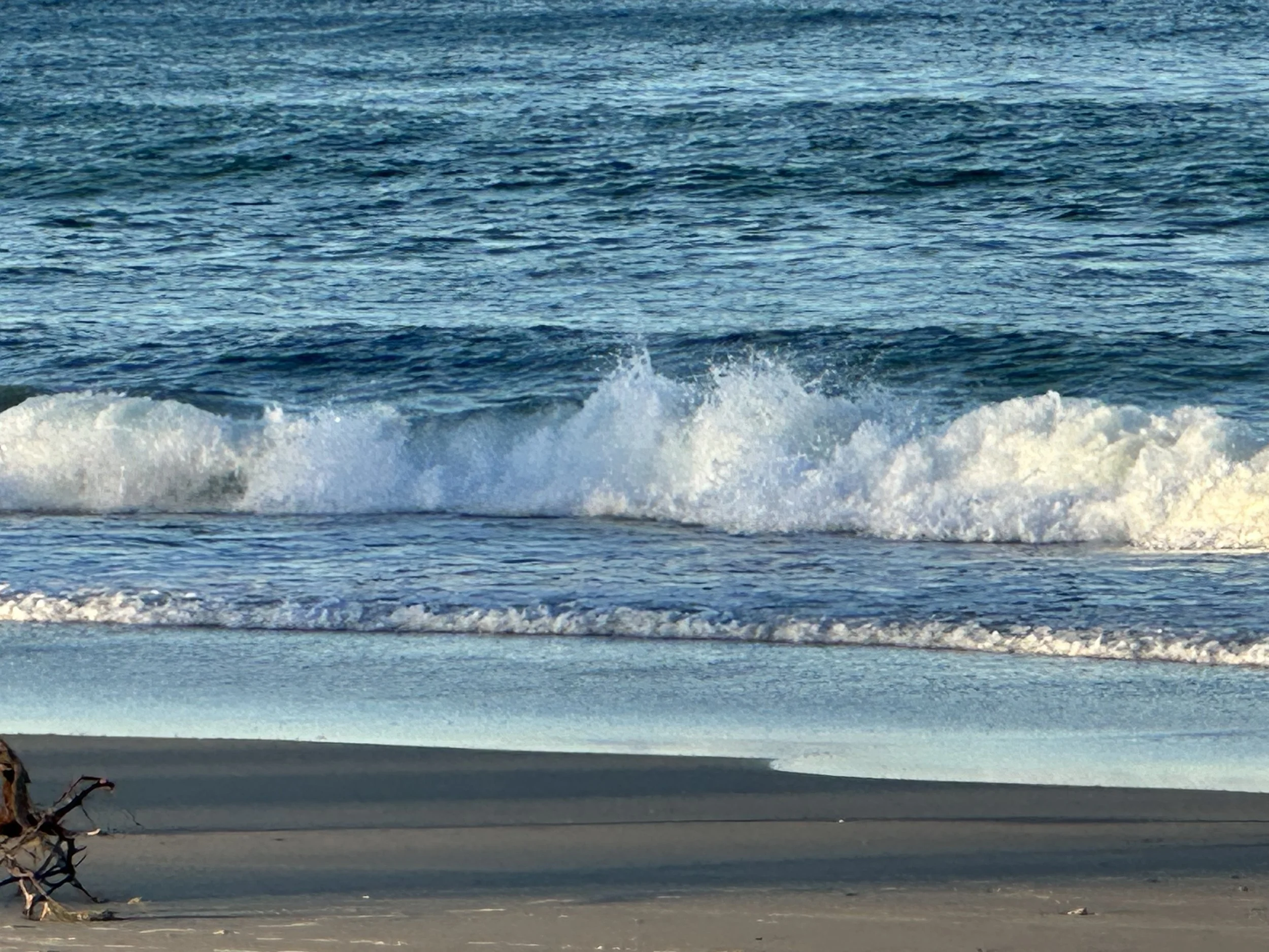 IMG_9550.jpeg