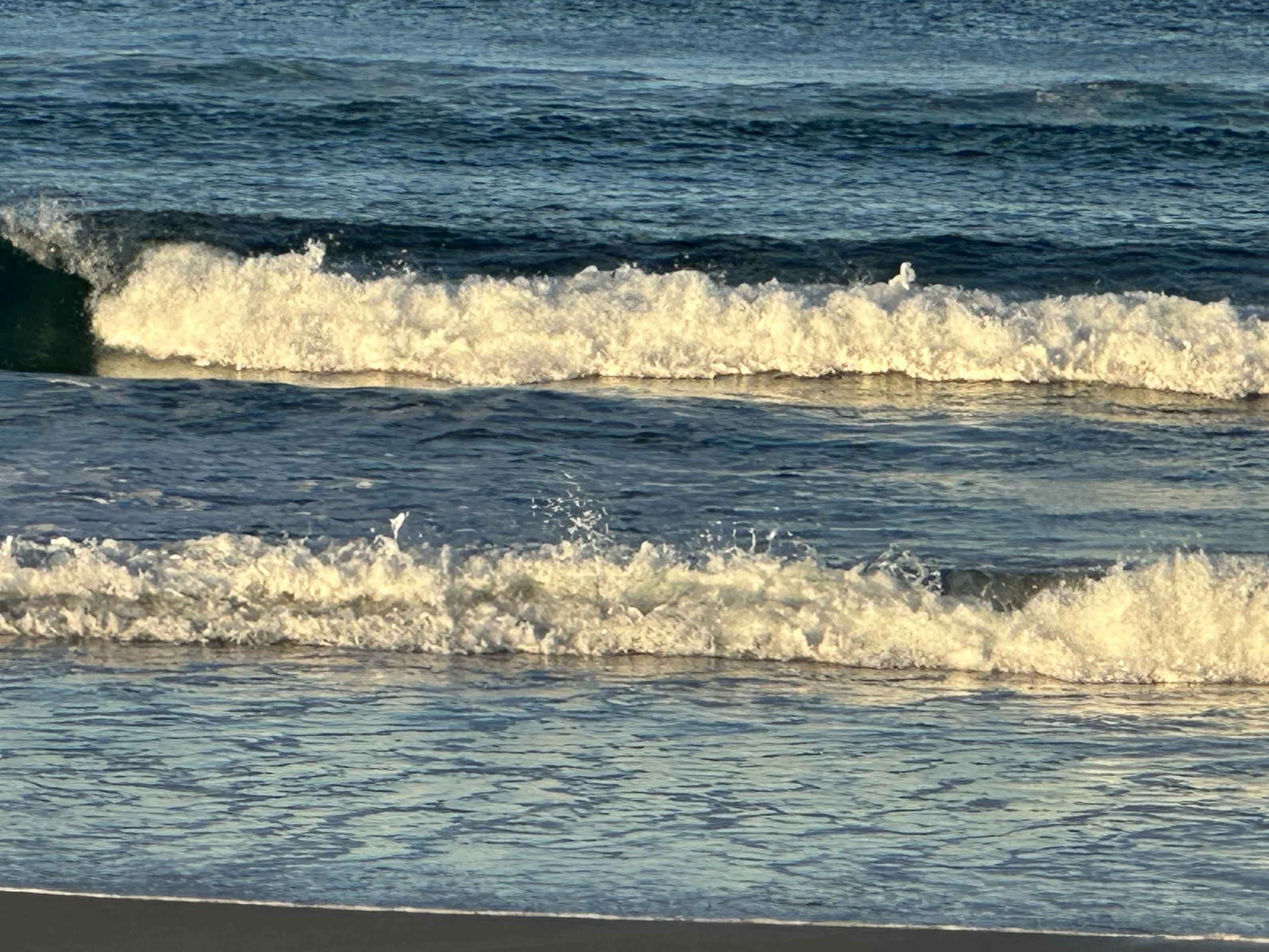 IMG_9549.jpeg