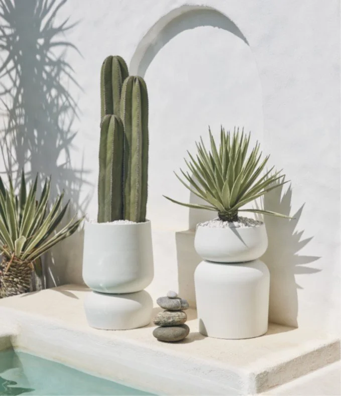 cb_d_sc_20220303_planters1-v2.jpg