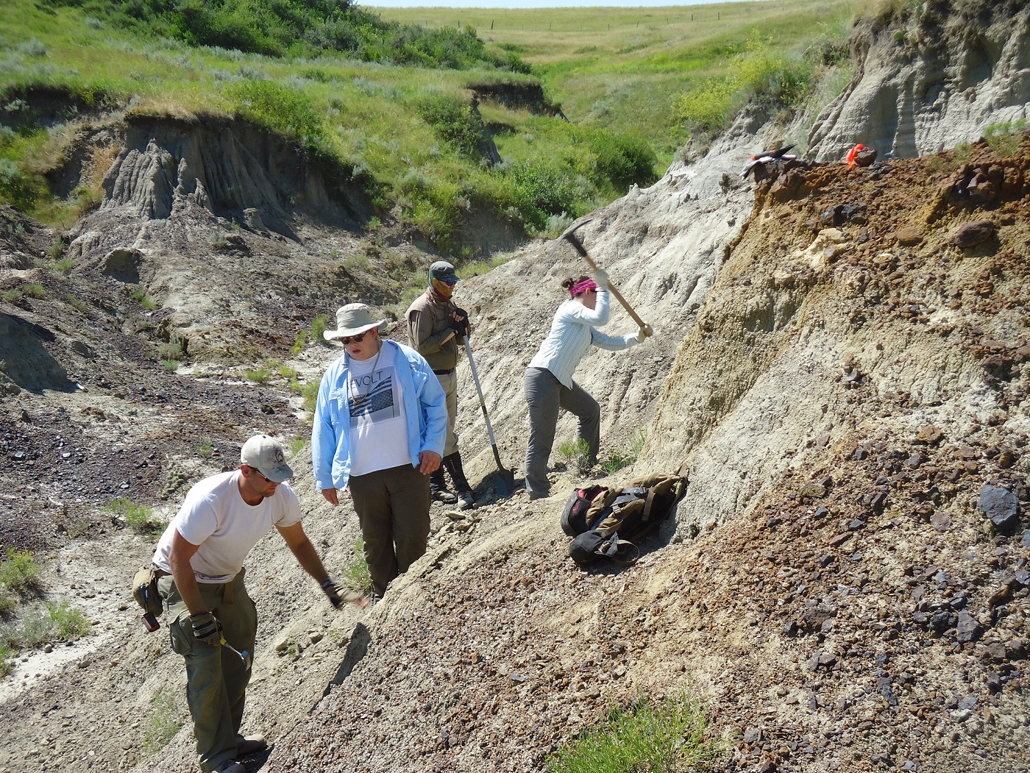 2014 Dinosaur Dig Season