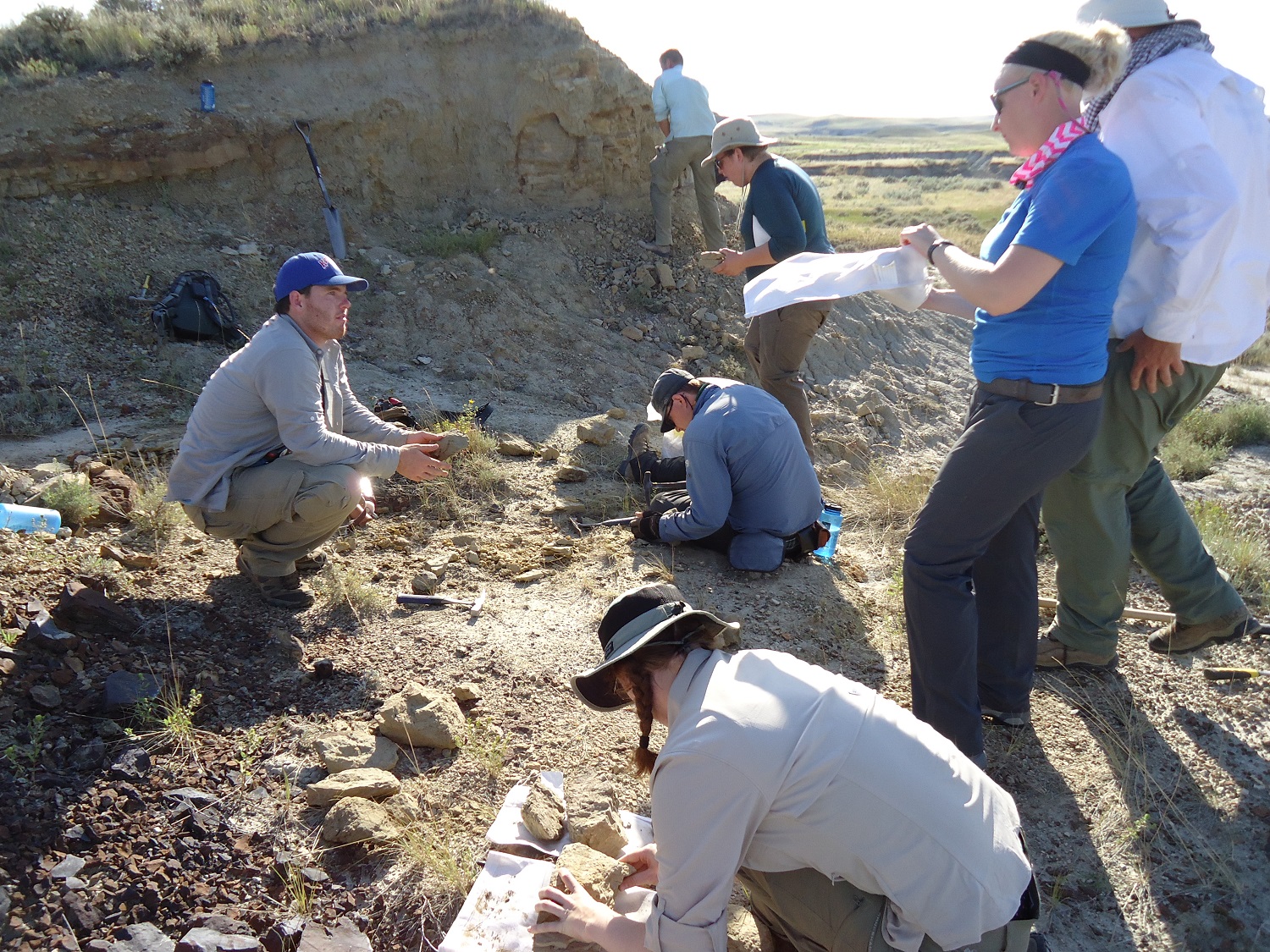 2014 Dinosaur Dig Season