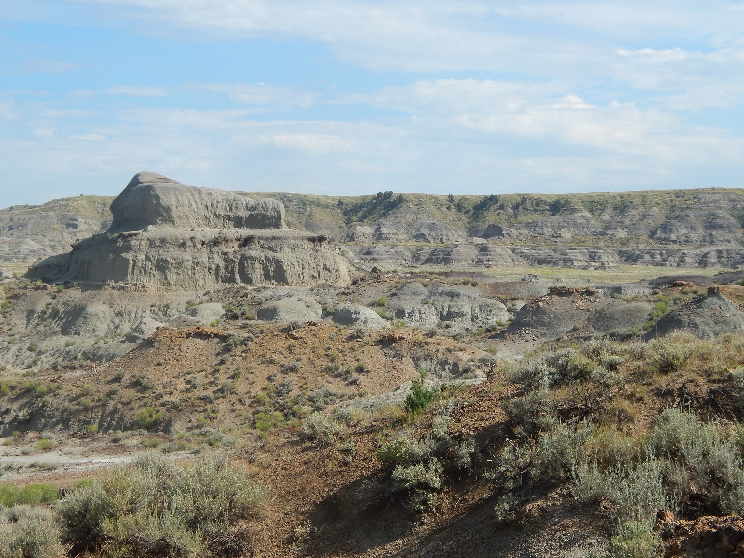 2014 Field Season