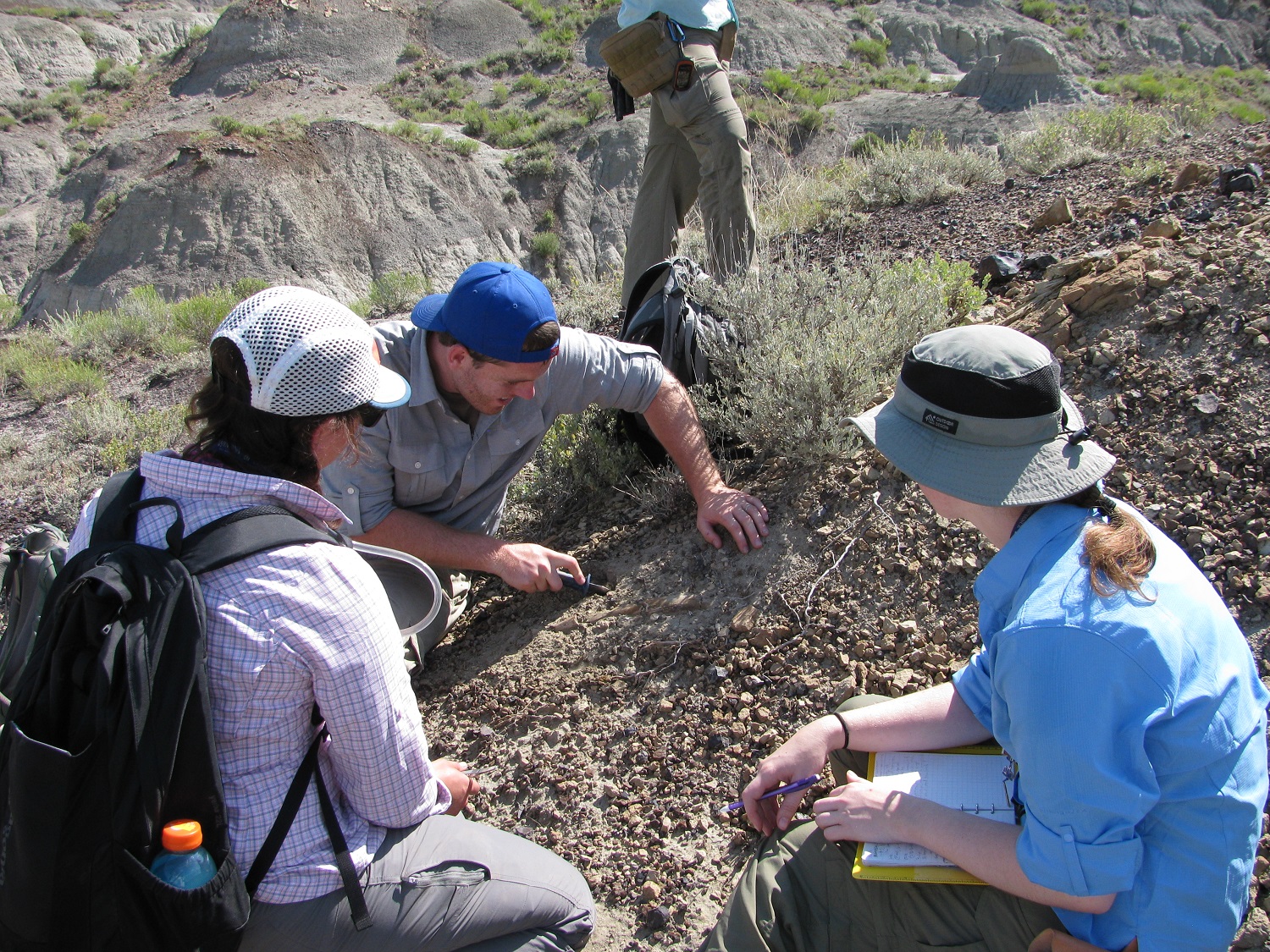 2014 Dinosaur Dig Season