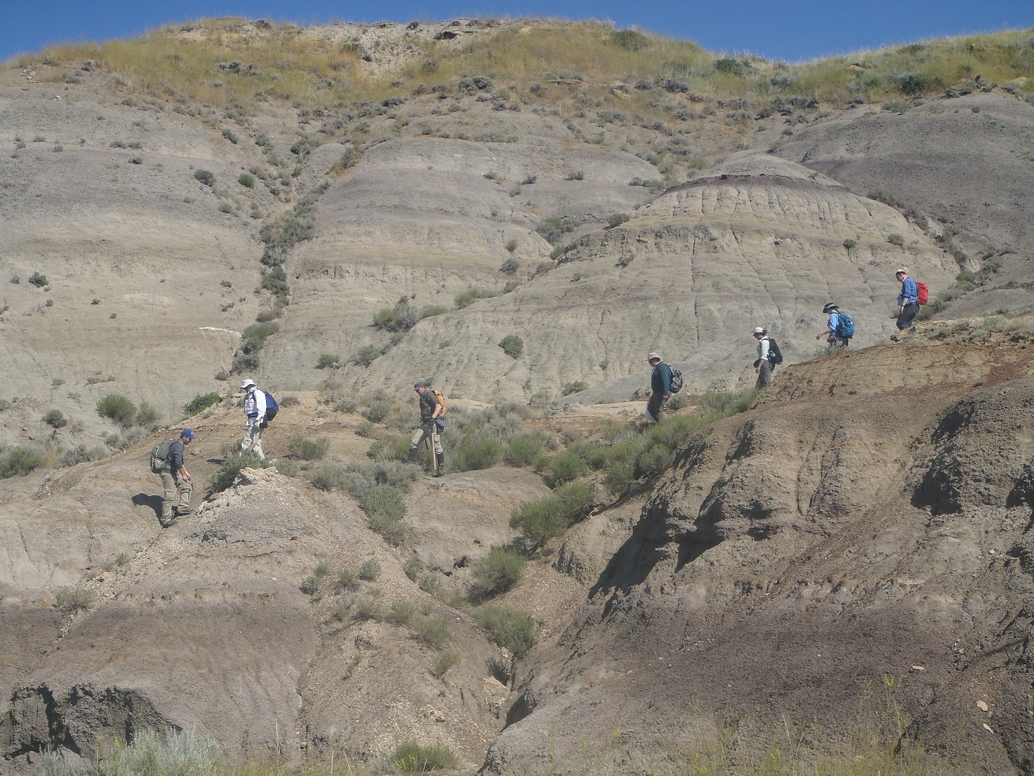 2014 Field Season