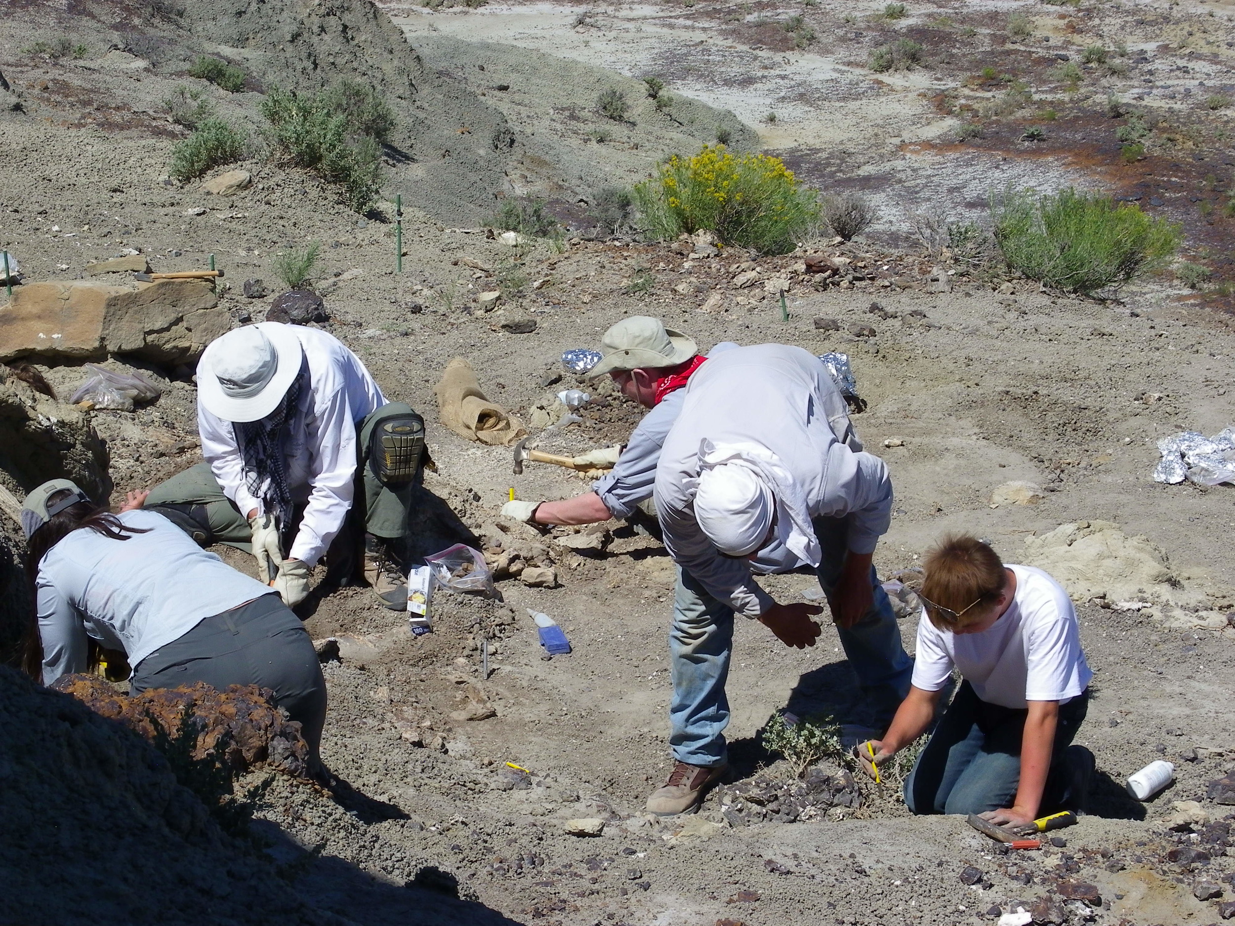 Public Dinosaur Dig Site: BWA