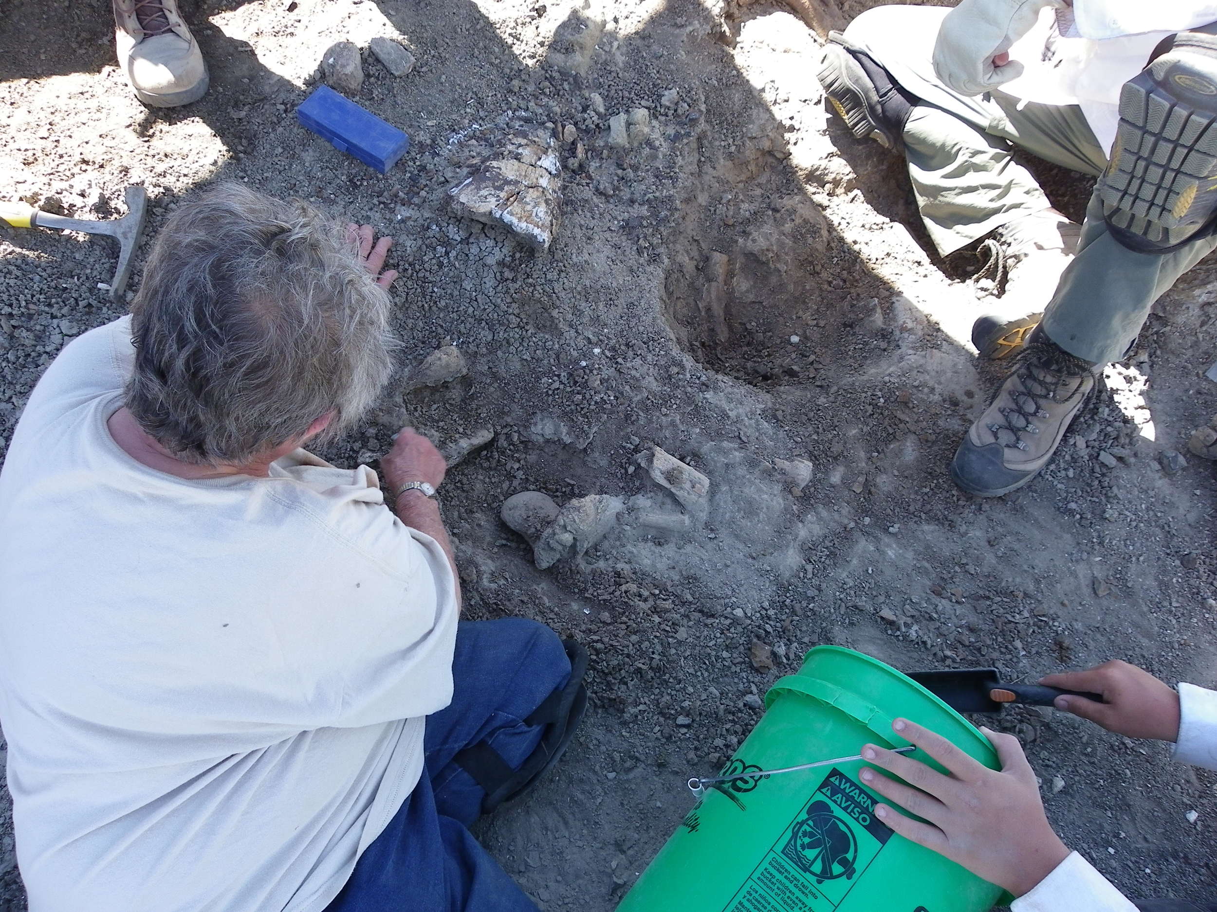 Digging Dinosaur Fossils in the Hell Creek