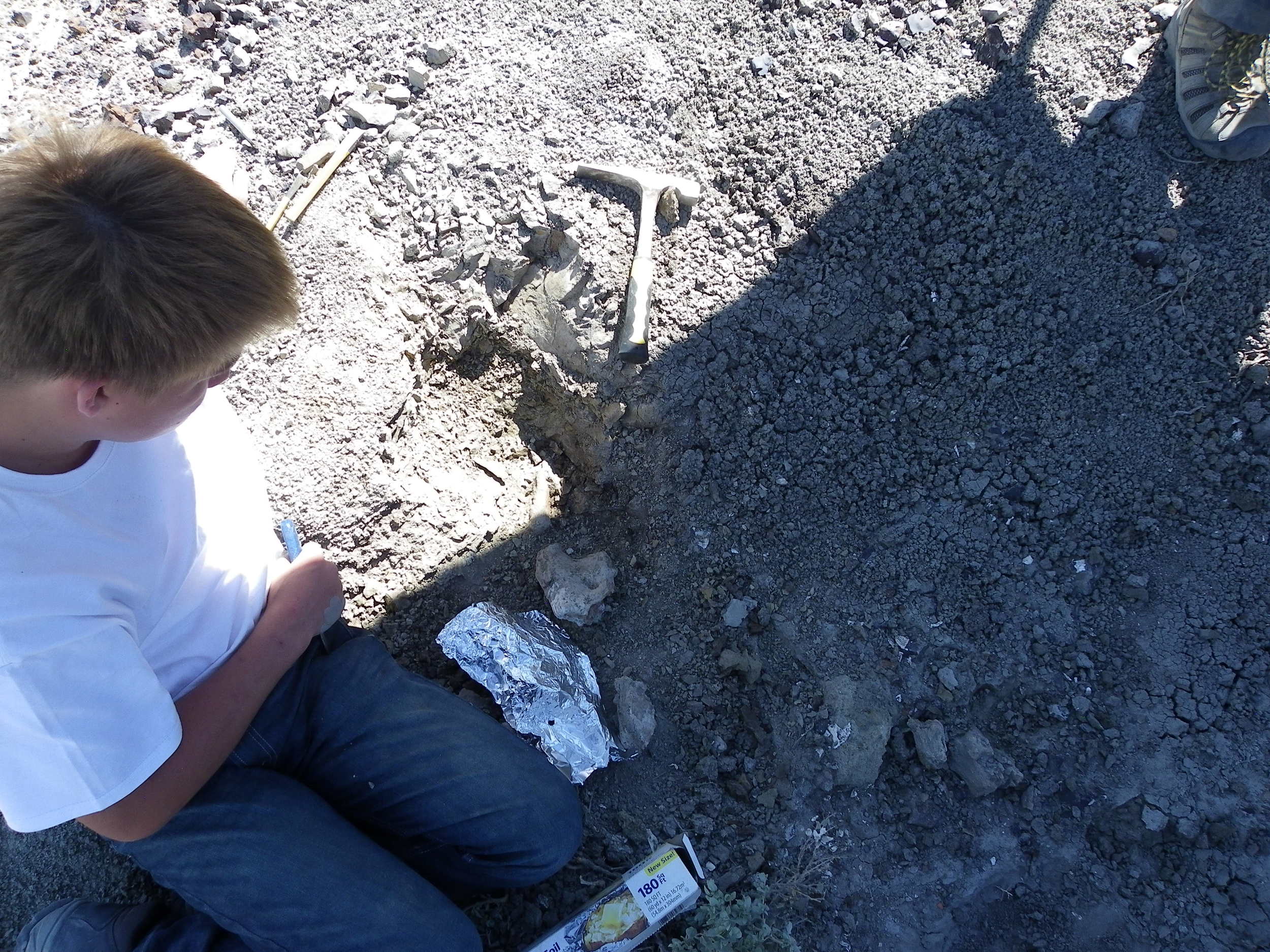 Participant Extracts Dinosaur Bone