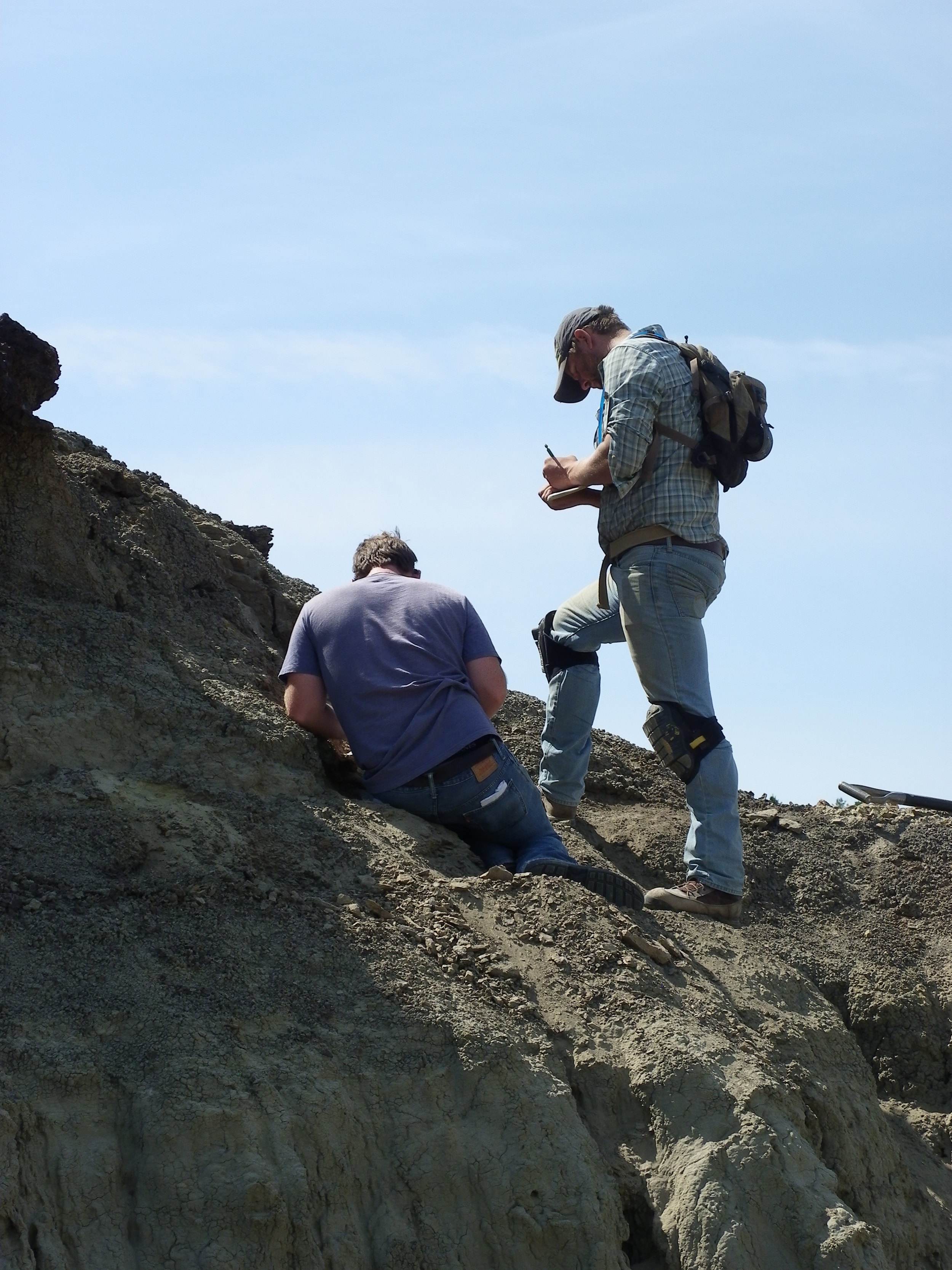 2015 Dinosaur Dig Season