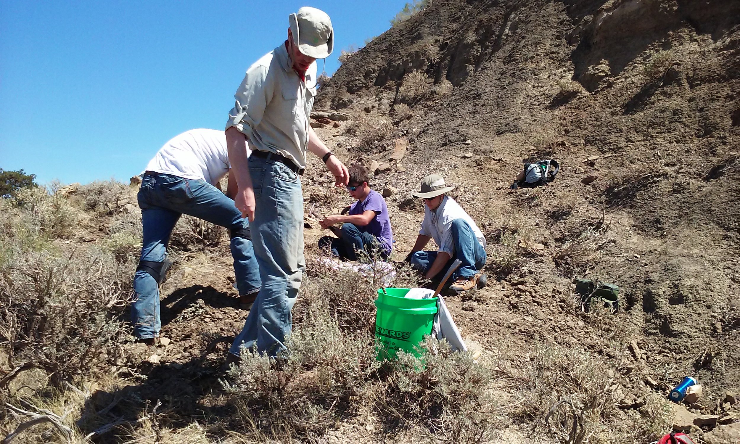 2016 Dinosaur Dig Season