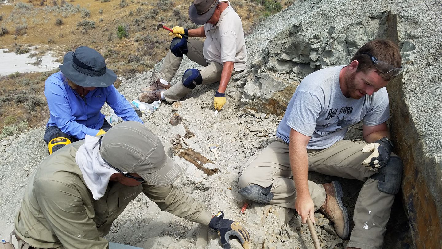 Hell Creek Dinosaur Dig