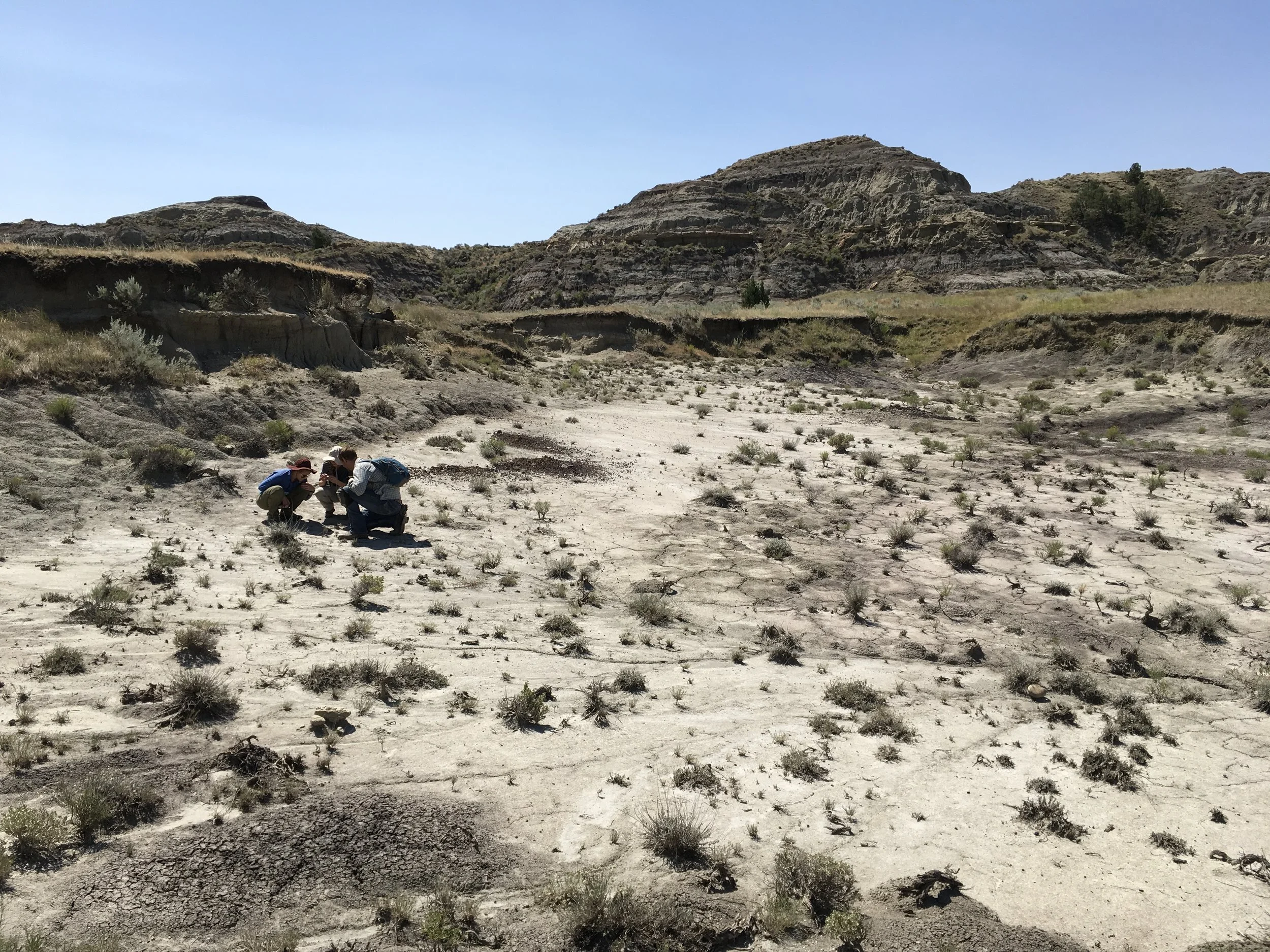 2017 Dig Season