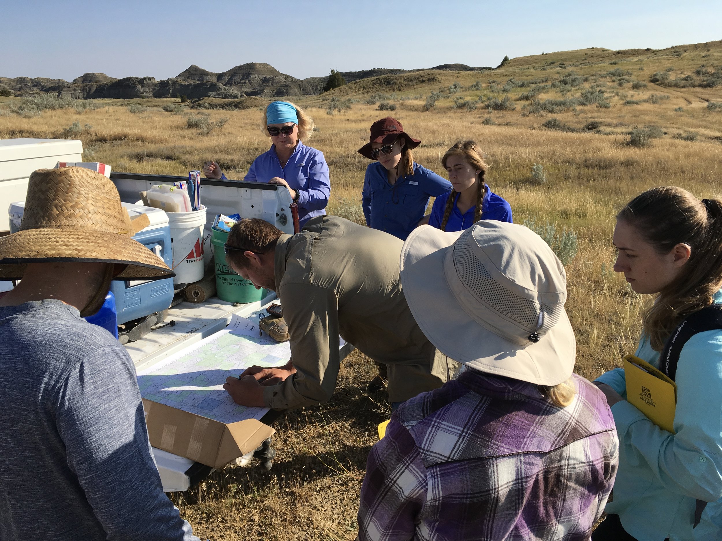 2017 Dig Season