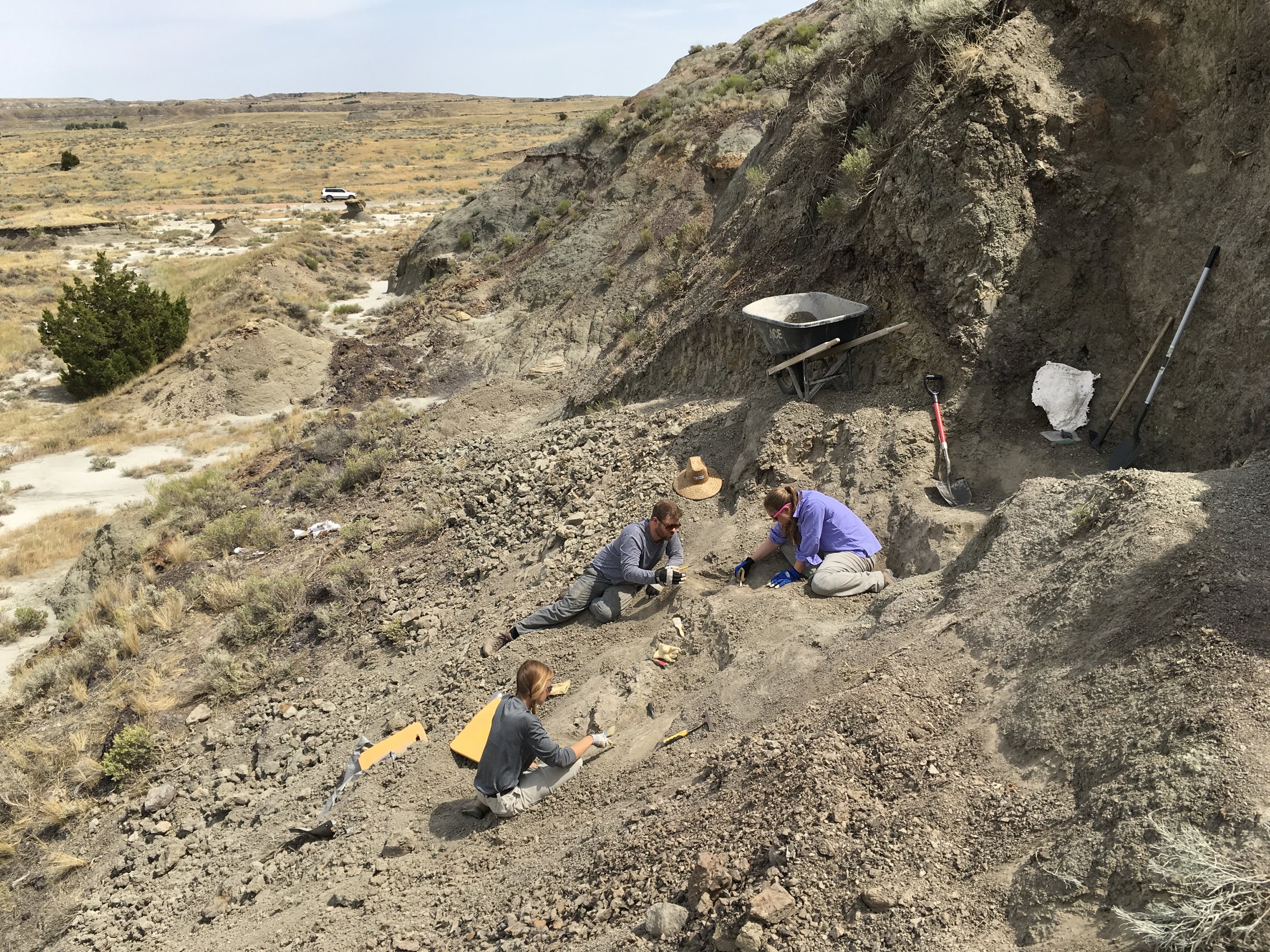 2017 Dig Season