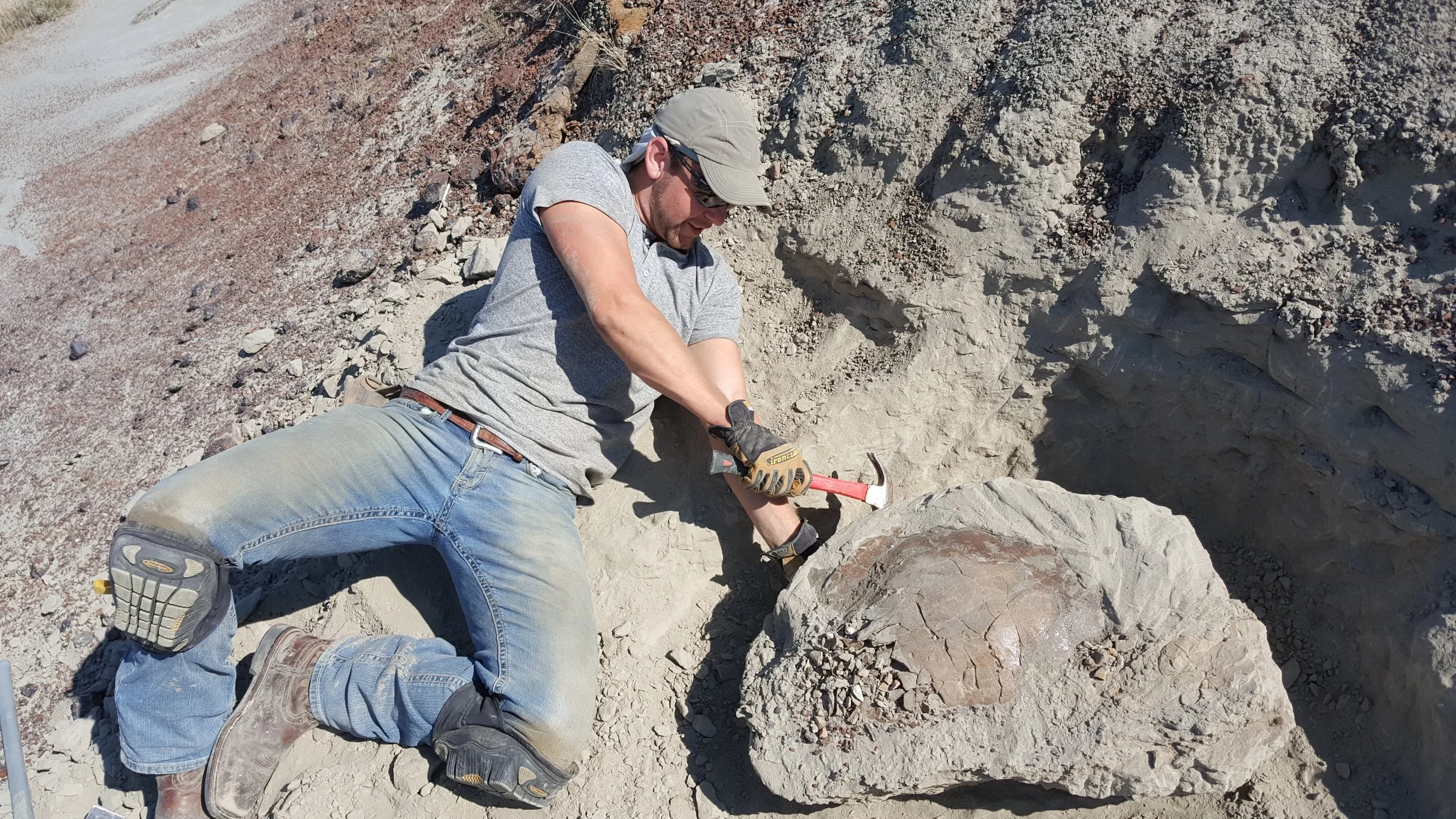 2017 Dig Season