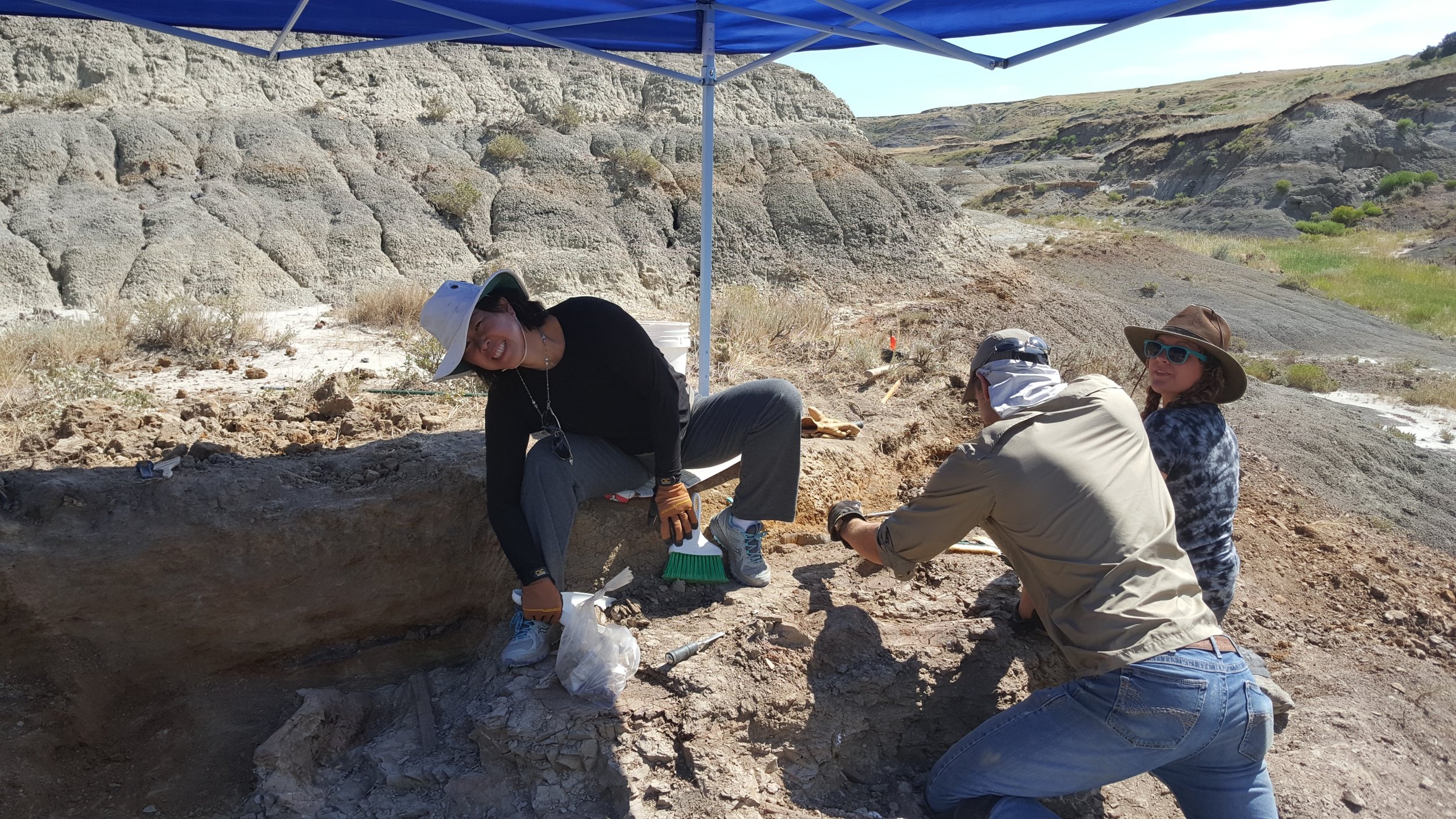 2017 Dinosaur Dig Season