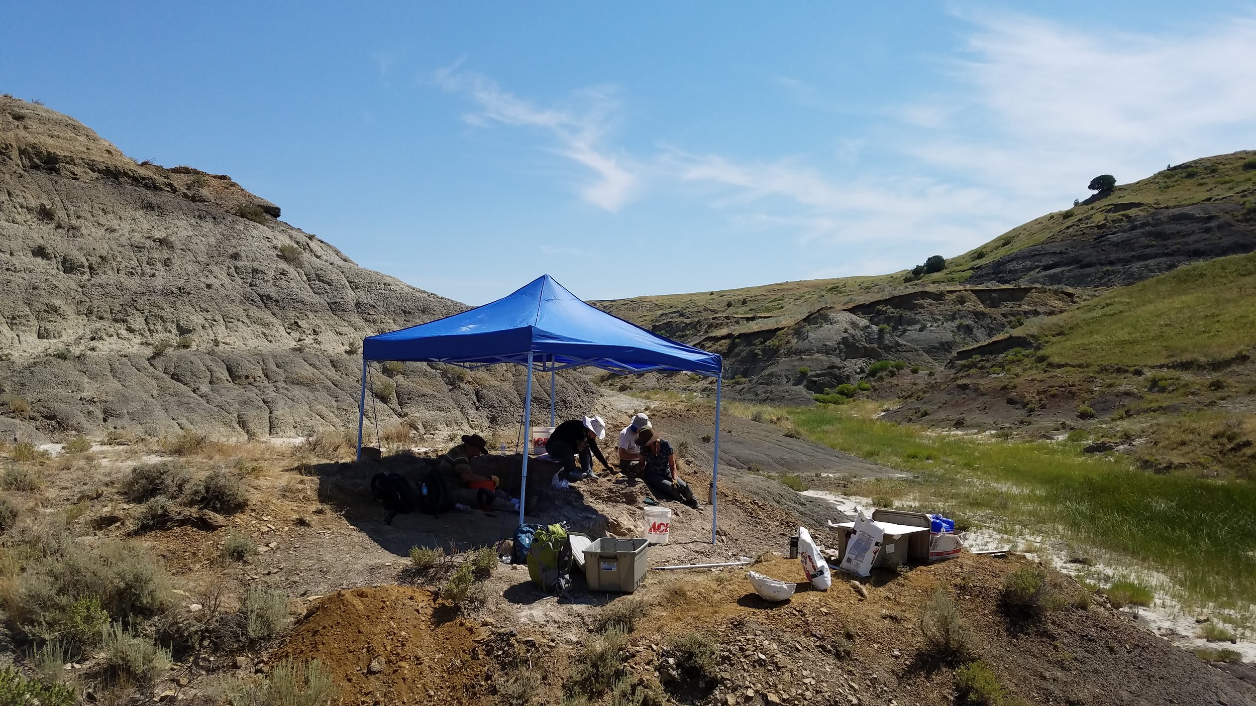 2017 Dinosaur Dig Season