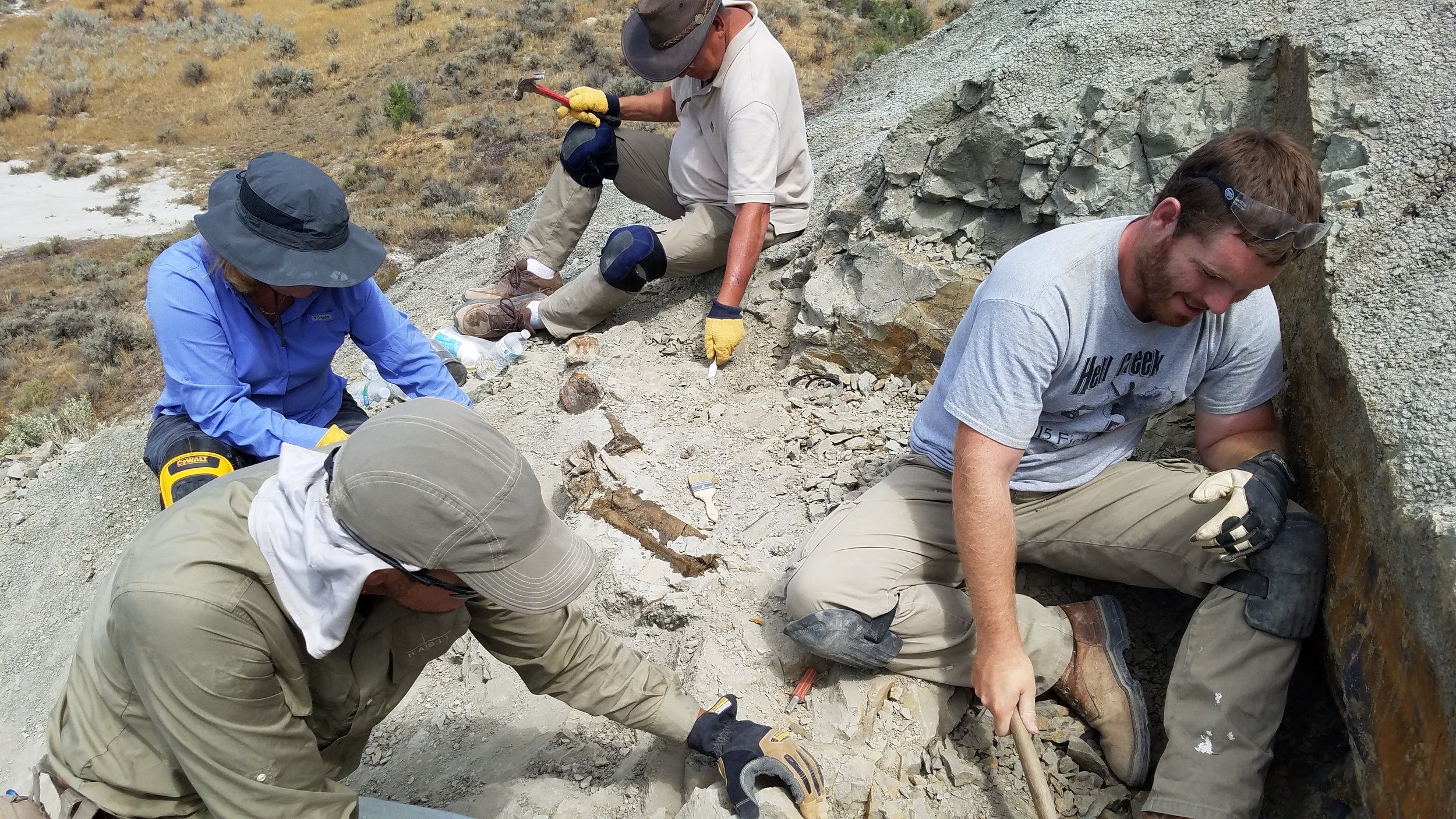 2017 Dinosaur Dig Season