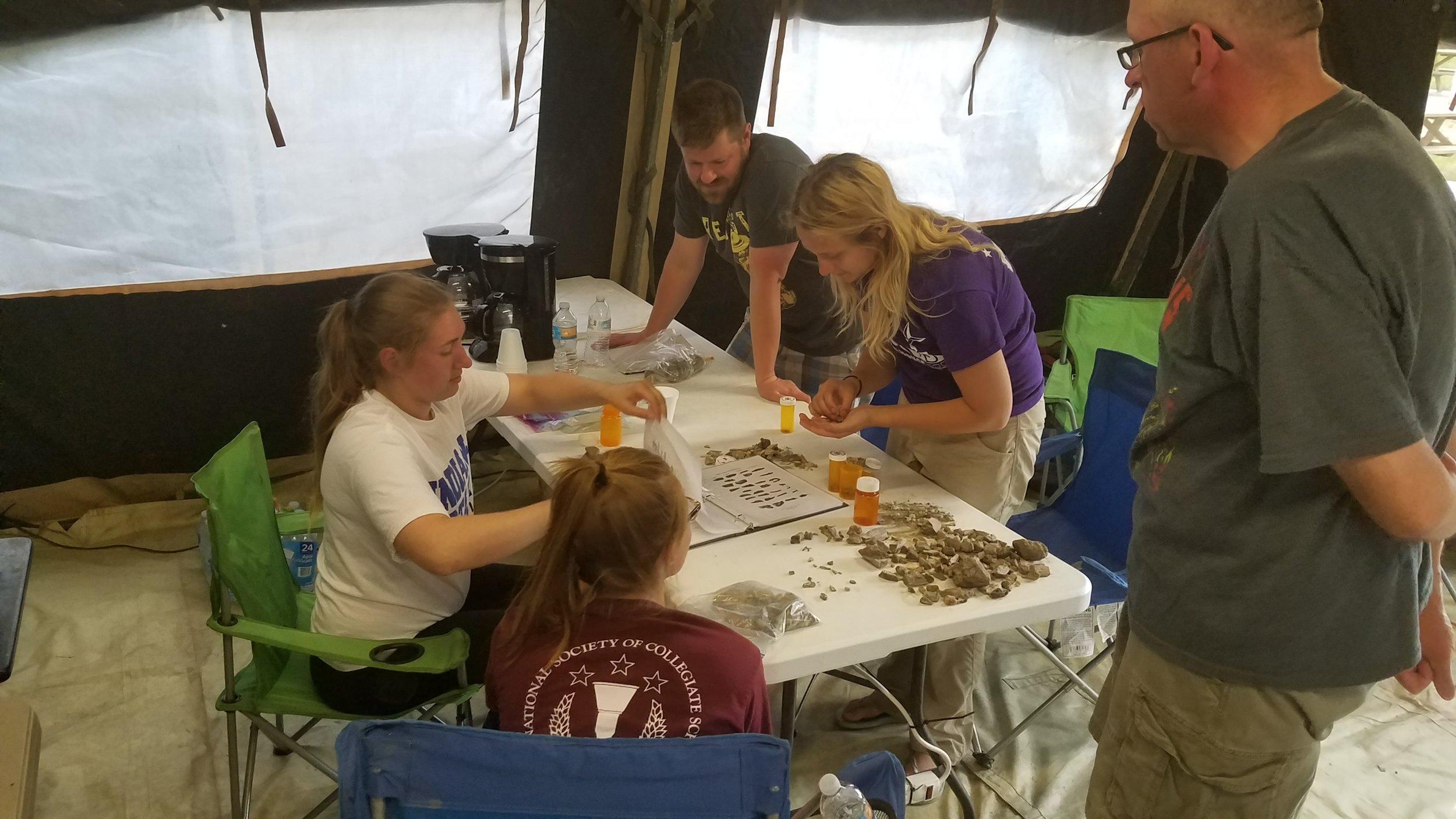 2017 Dinosaur Dig Season