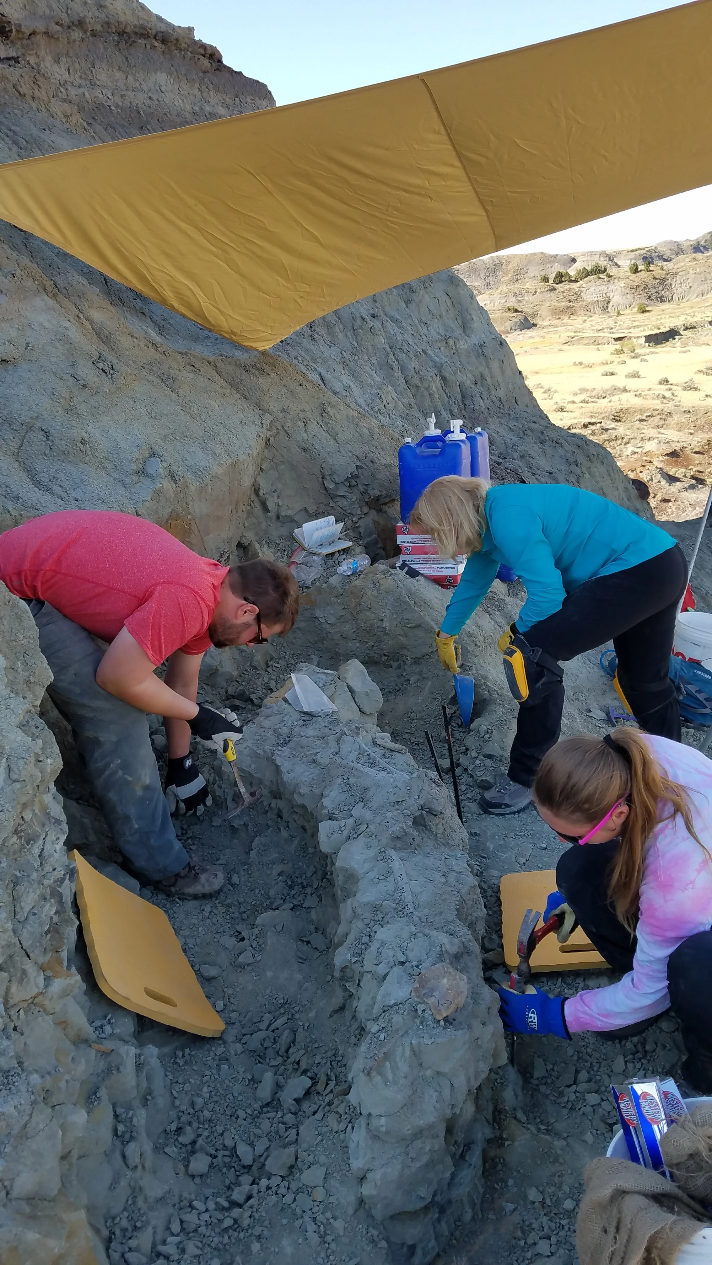 2017 Dig Season