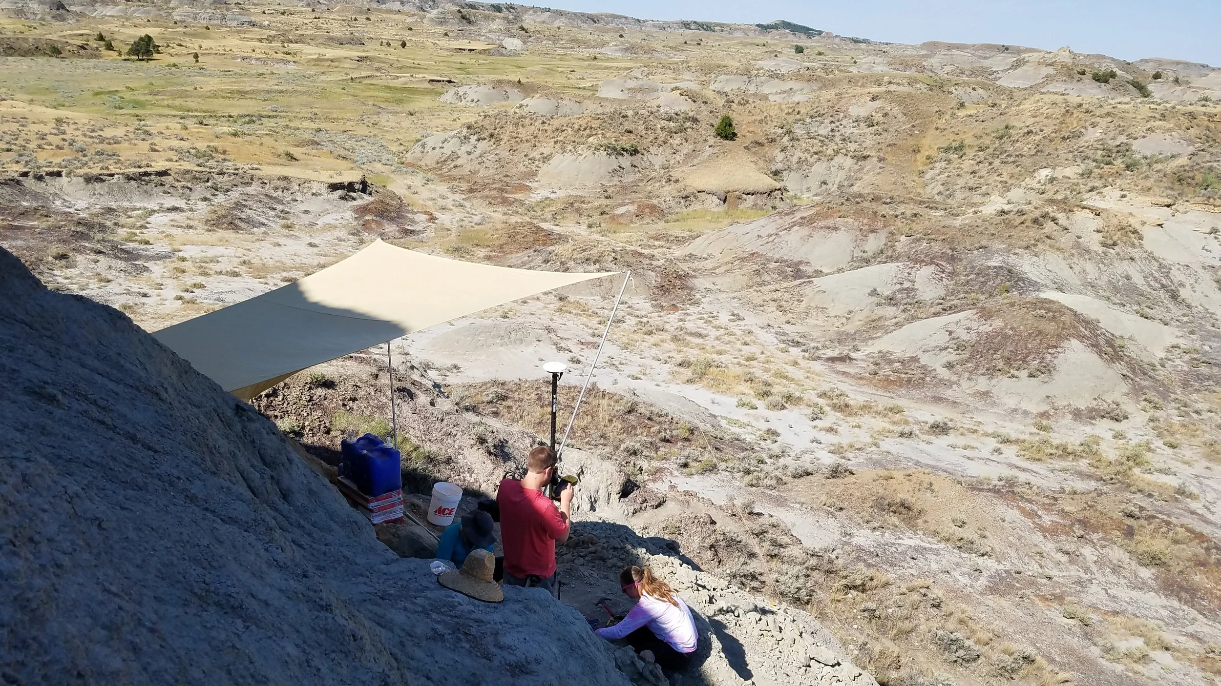 2017 Dig Season