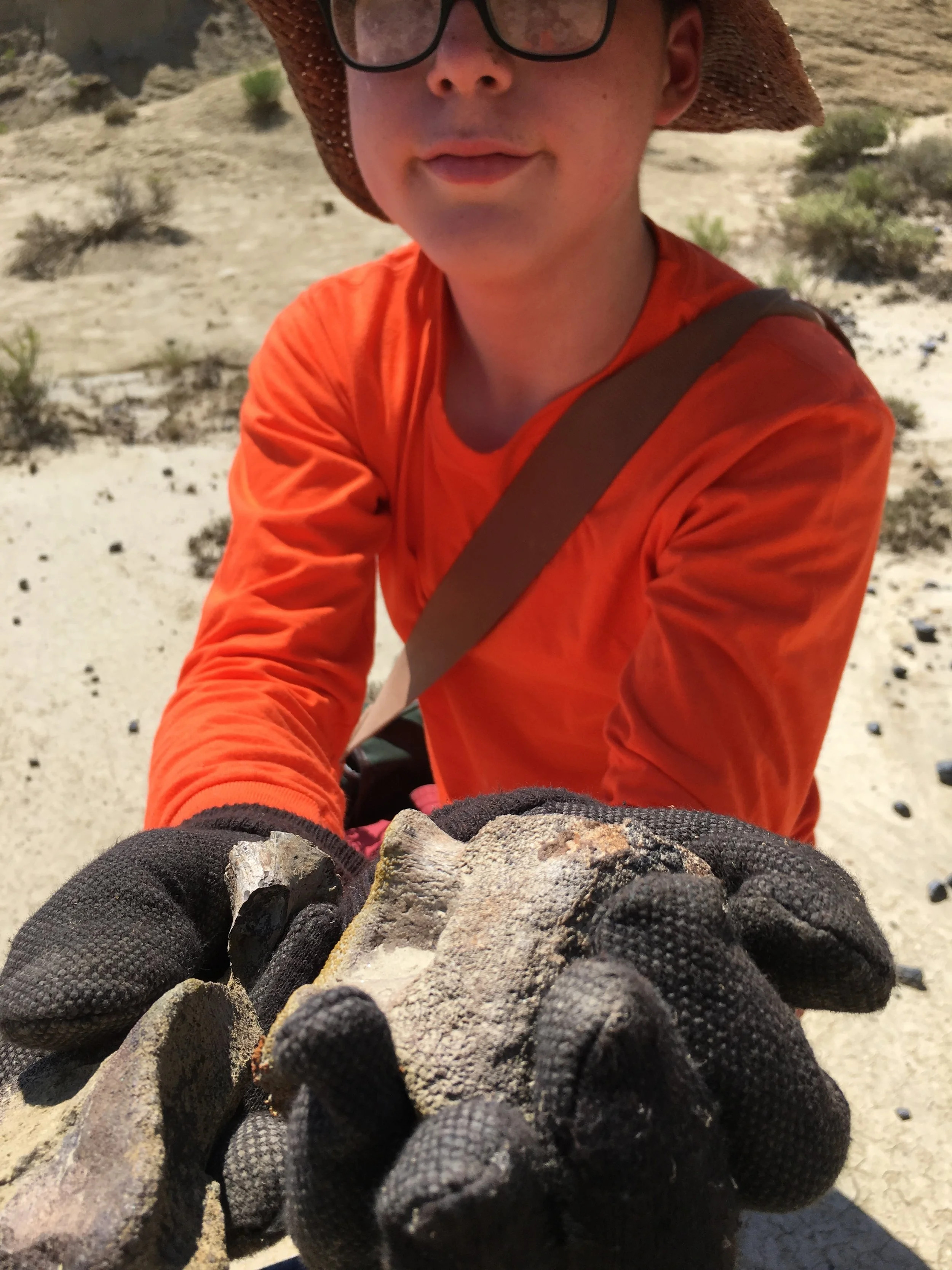I found a vertebrae! and toe Jul 14, 12 41 28 PM.jpg