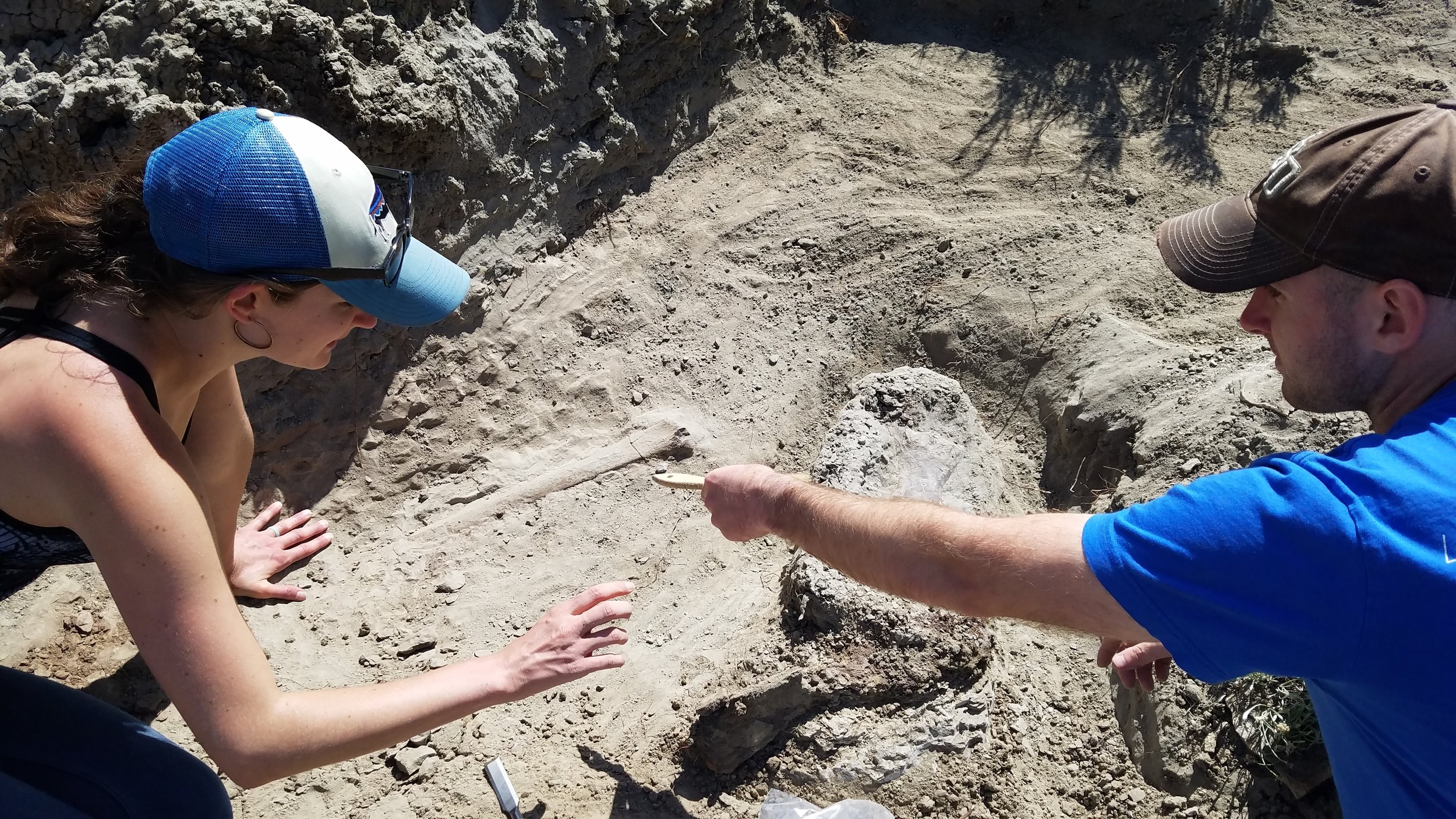 2018 Dinosaur Dig Season