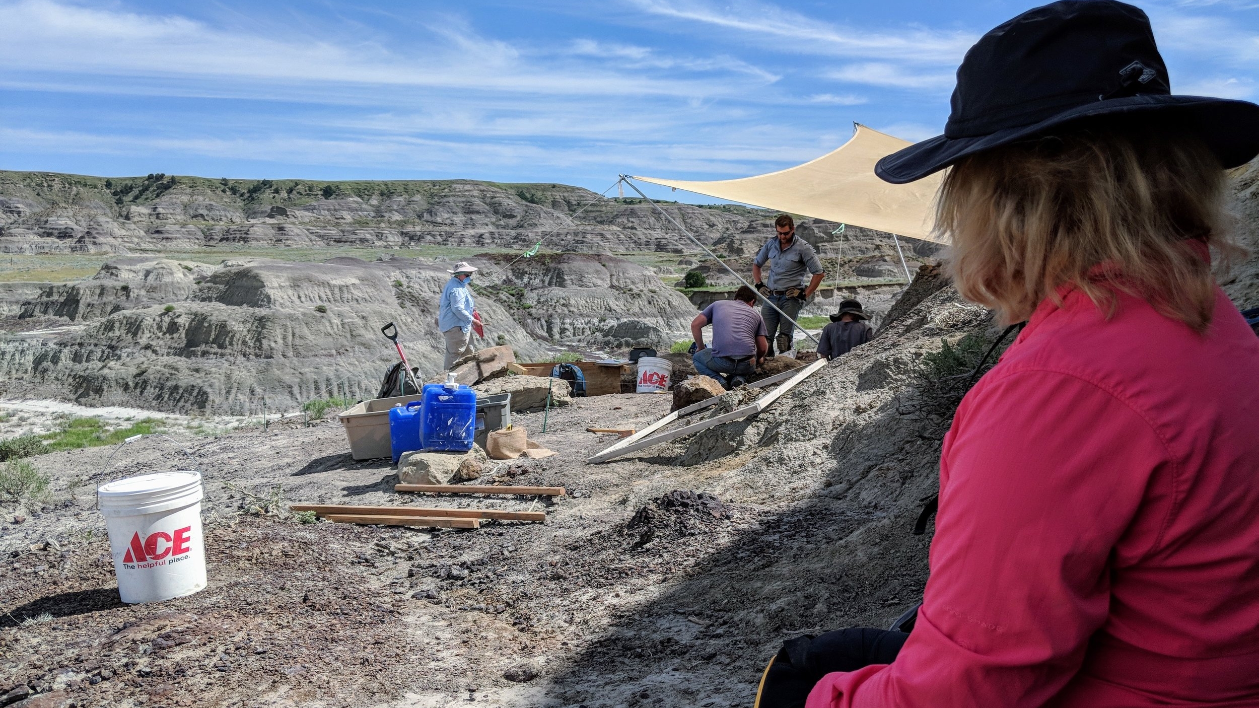 2018 Dinosaur Dig Season