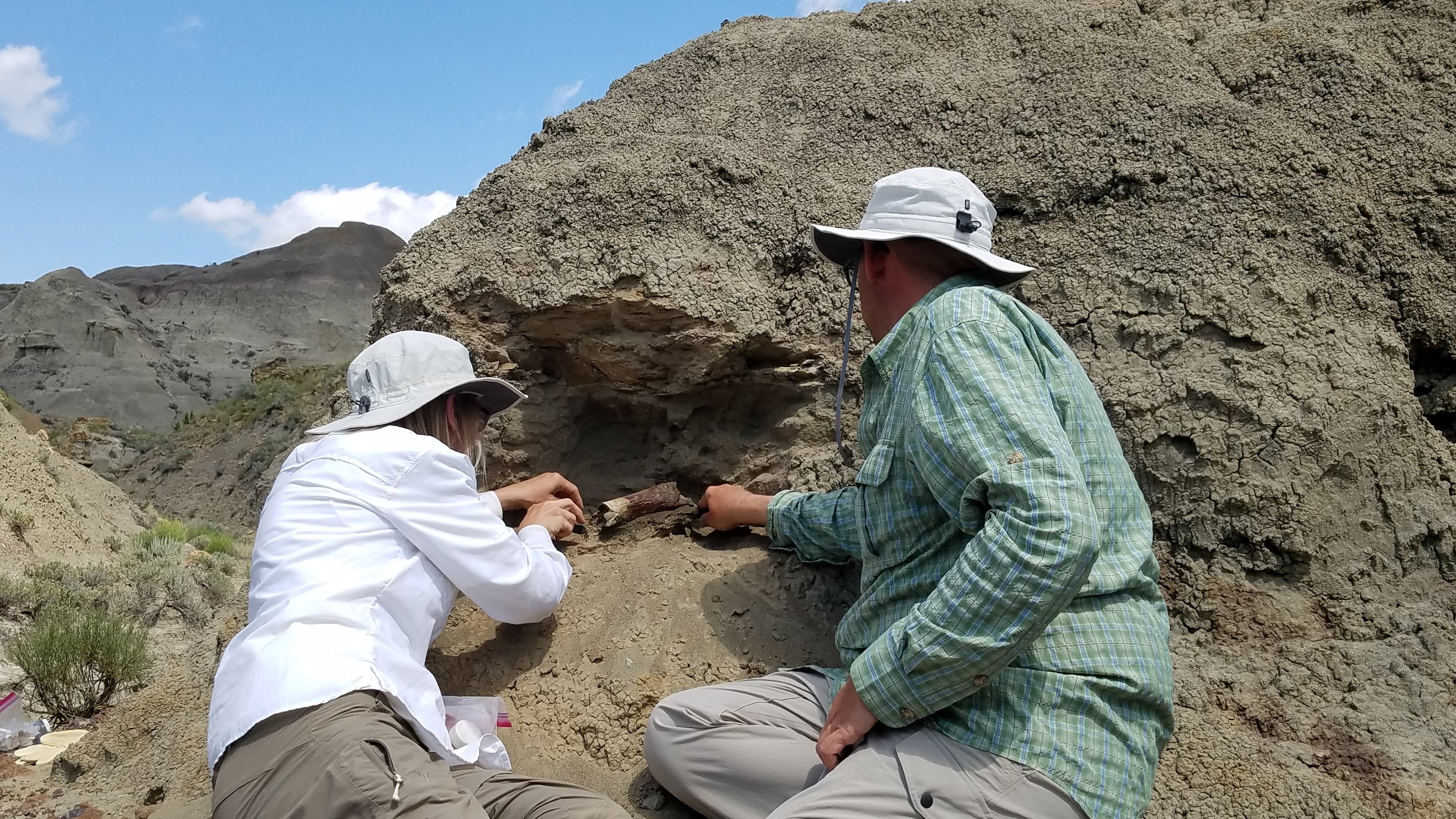Digging up Dinosaur Fossils
