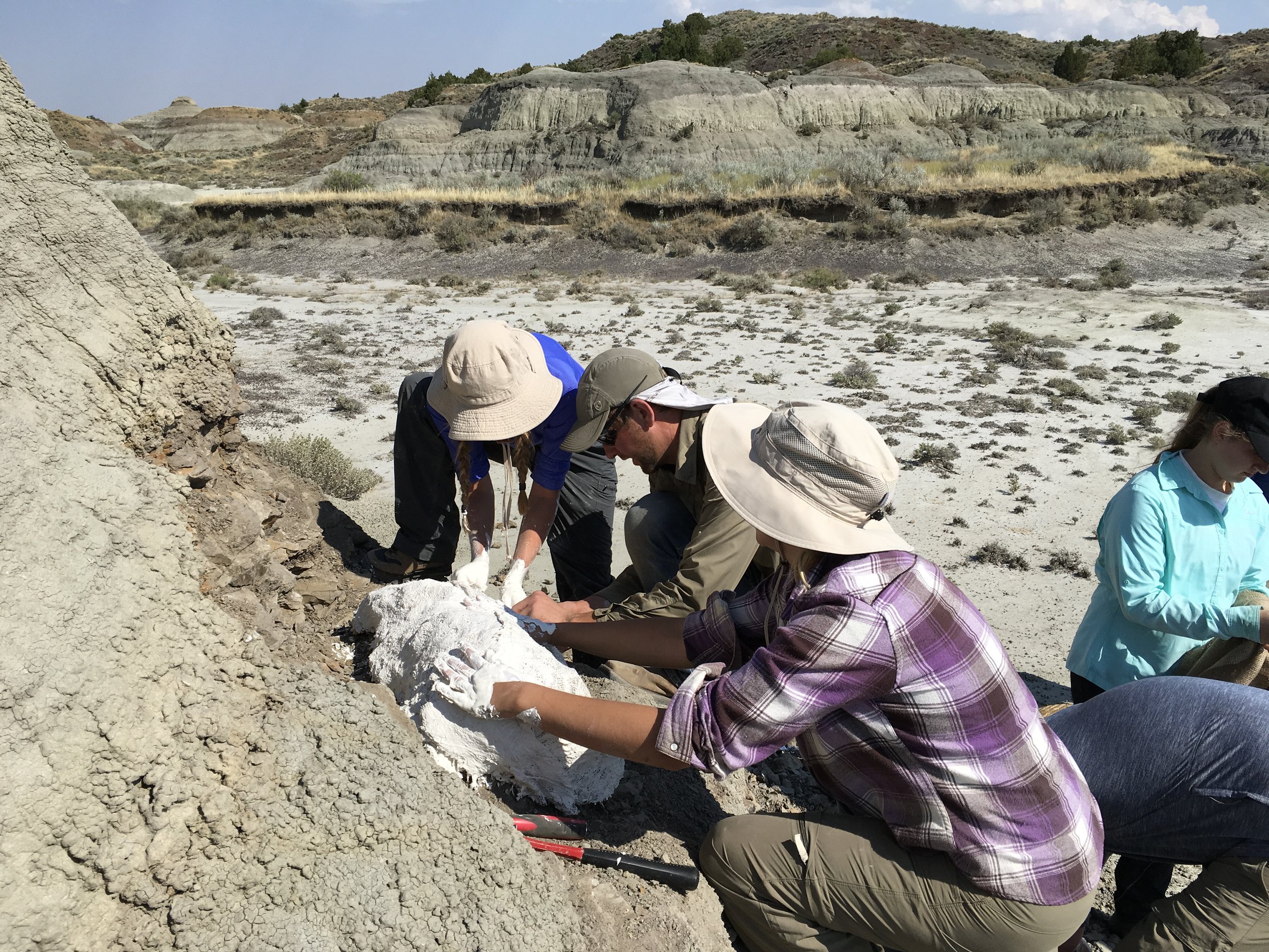 Digging up Dinosaur Bones with Students