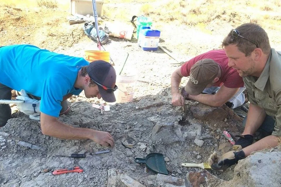 Public Dinosaur Dig Site