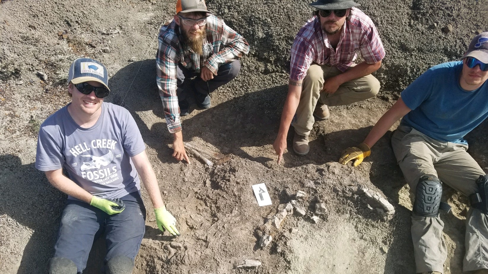 2019 Dig Season