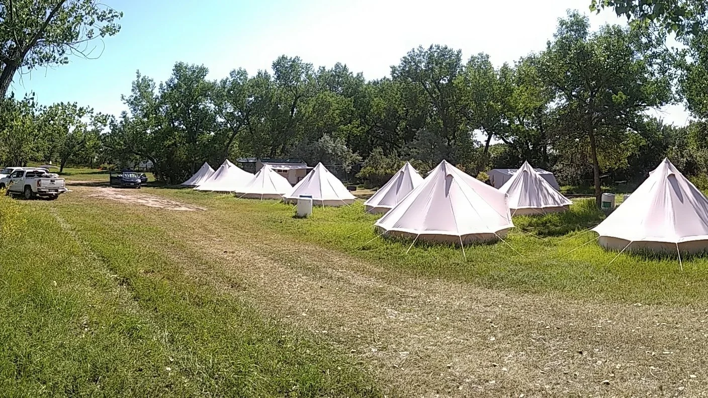 2019 Dig Season