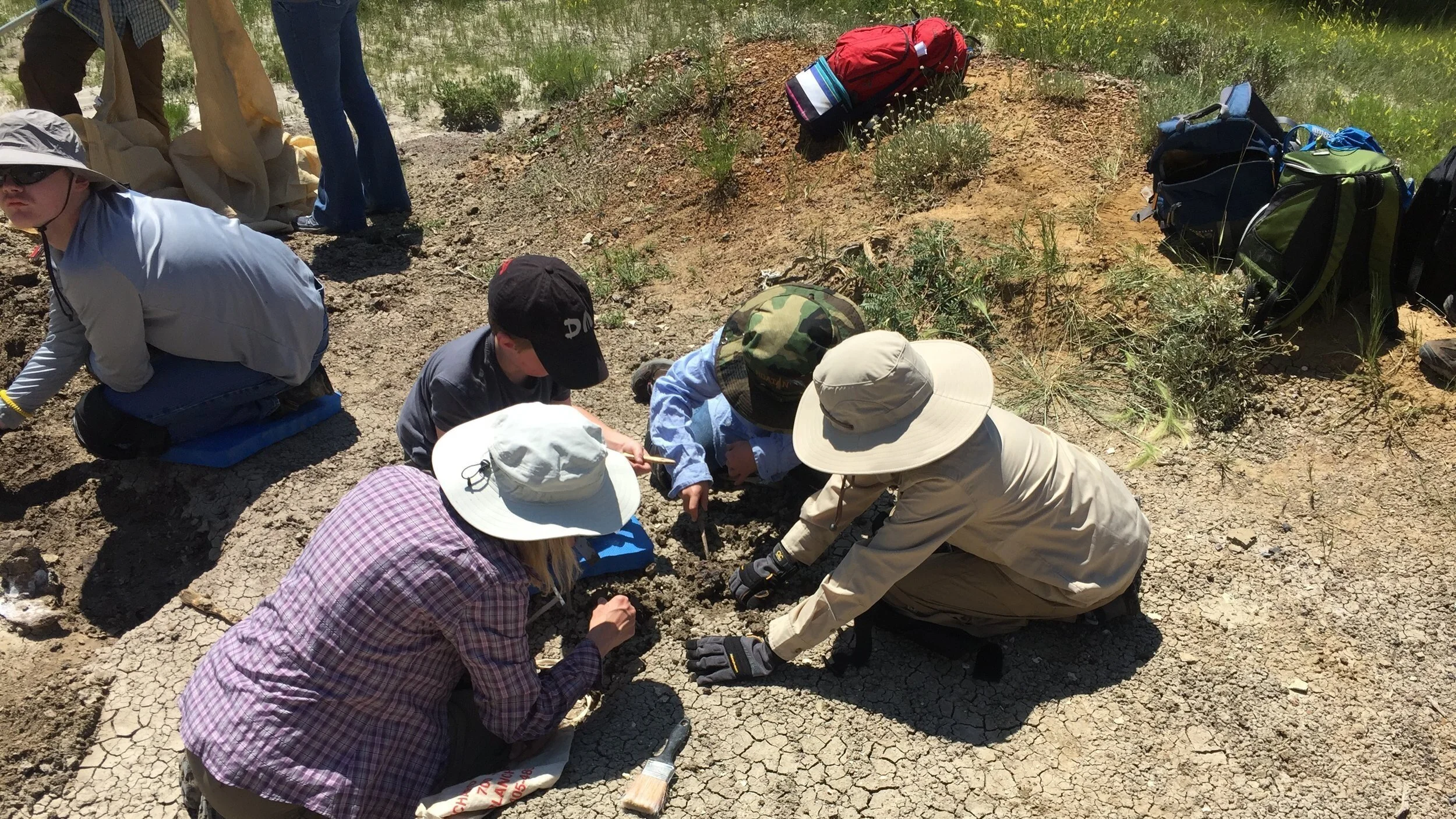 2019 Dig Season