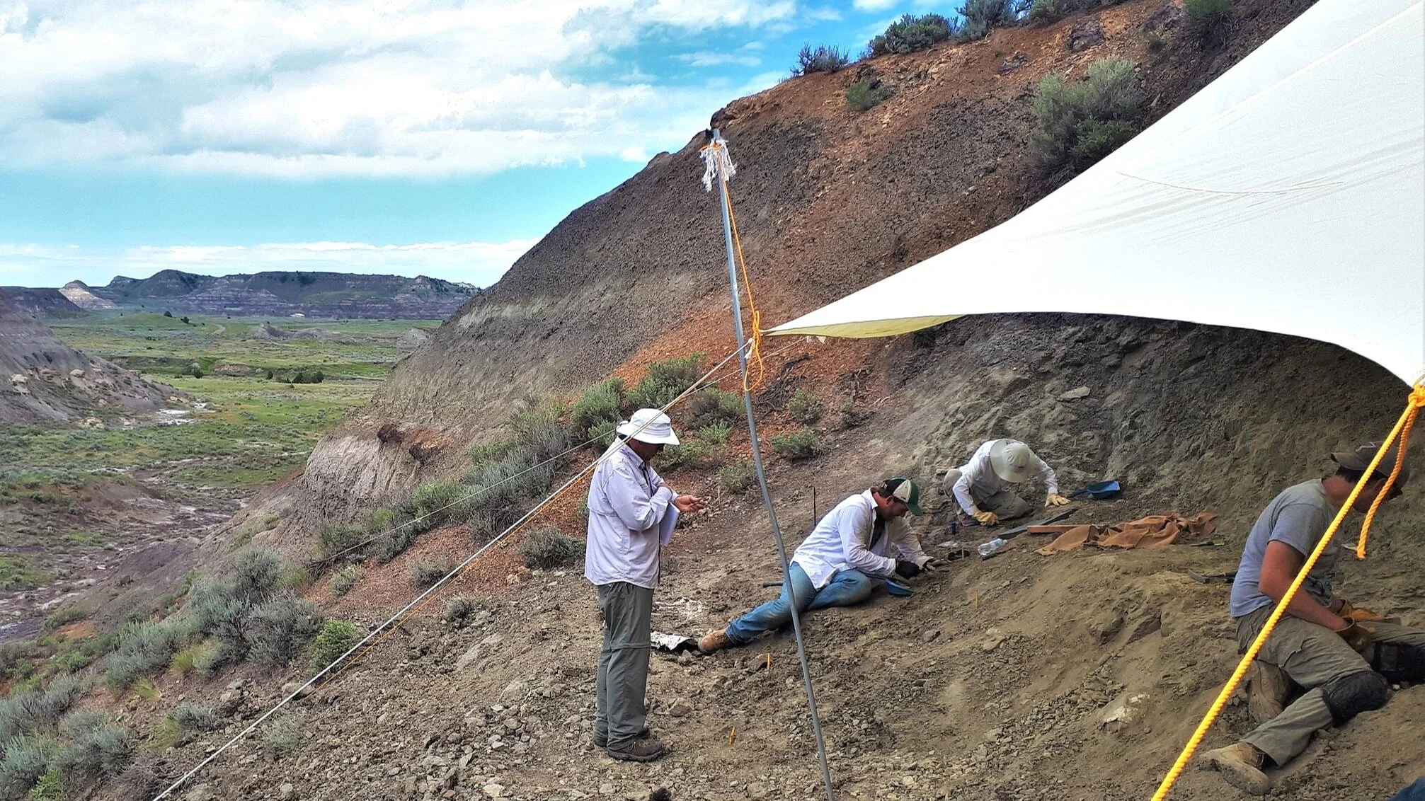 2019 Dig Season
