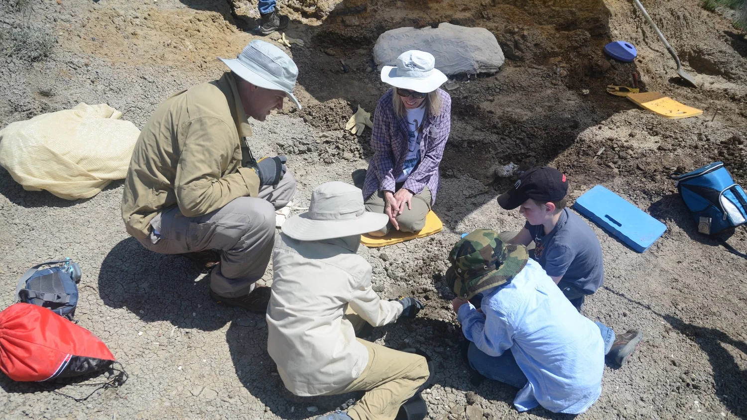 2019 Dinosaur Dig
