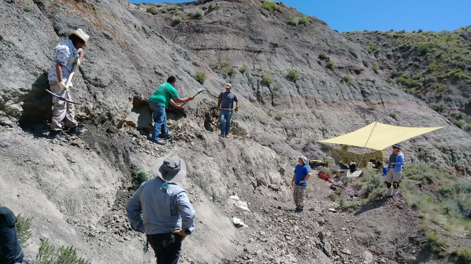 2019 Dinosaur Dig Season