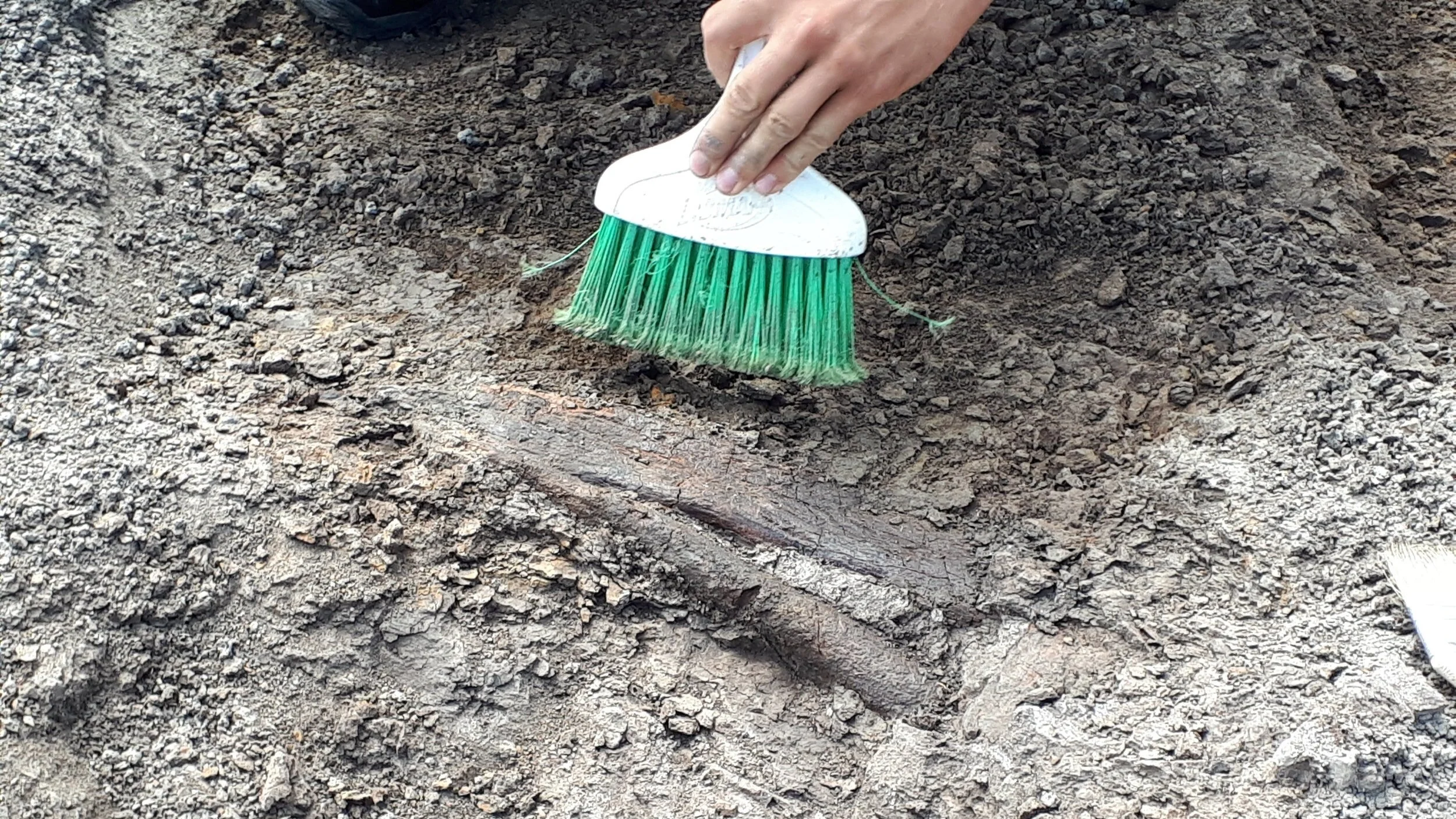 2019 Dig Season
