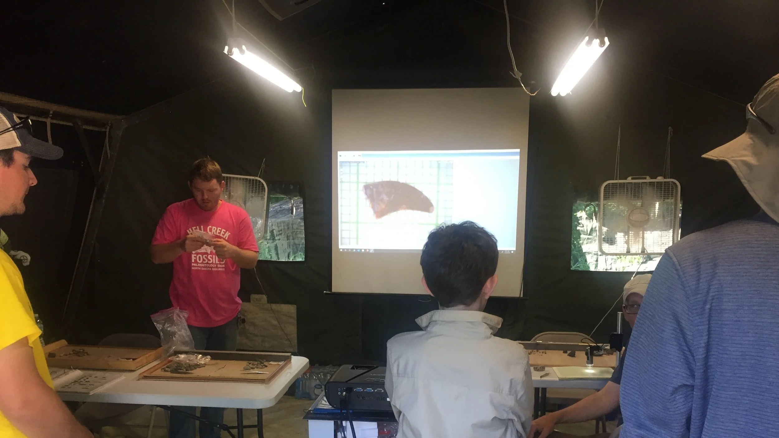 2019 Dig Season