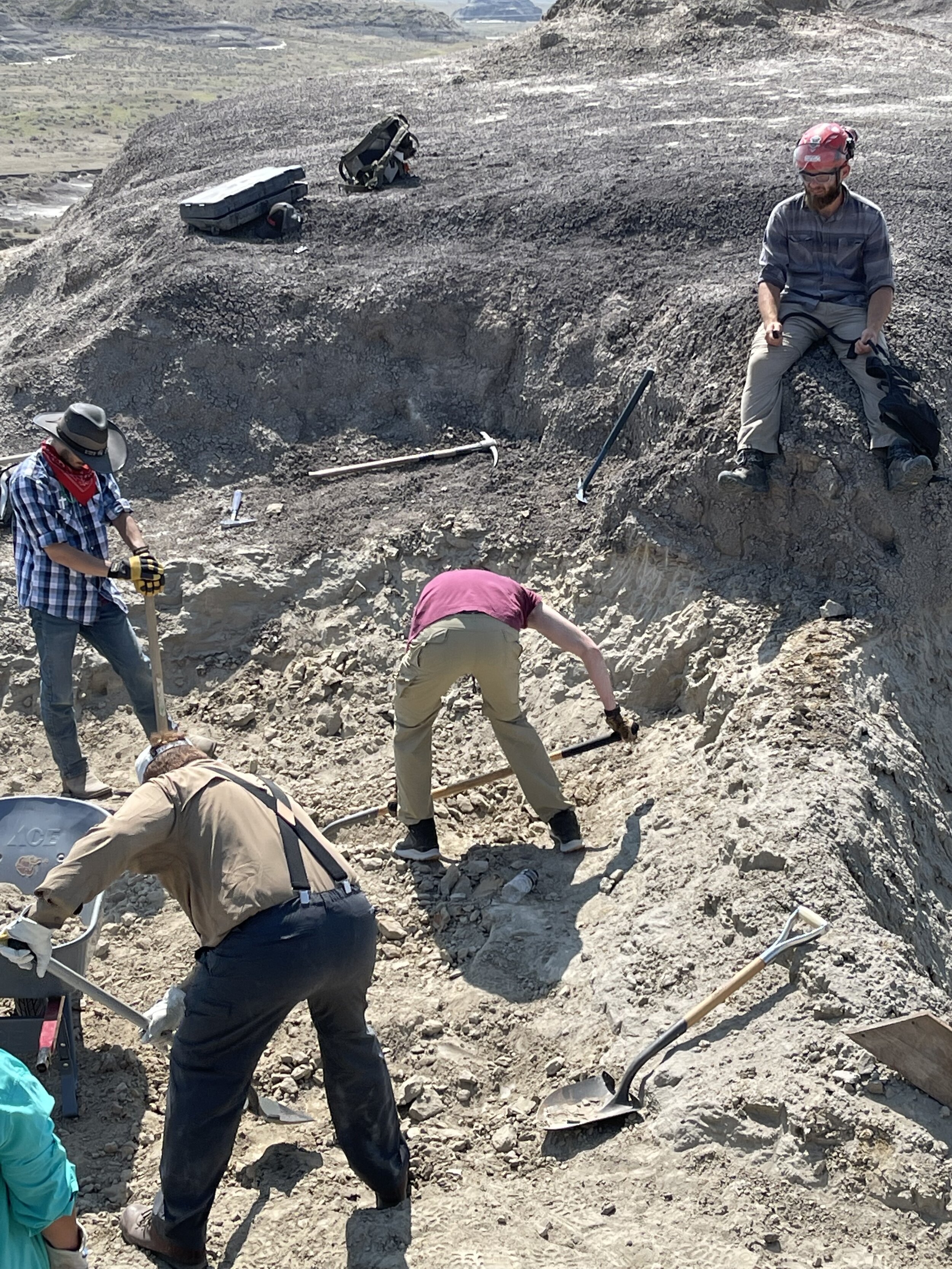 Dig up dinosaur bones and other fossils with Hell Creek Fossils