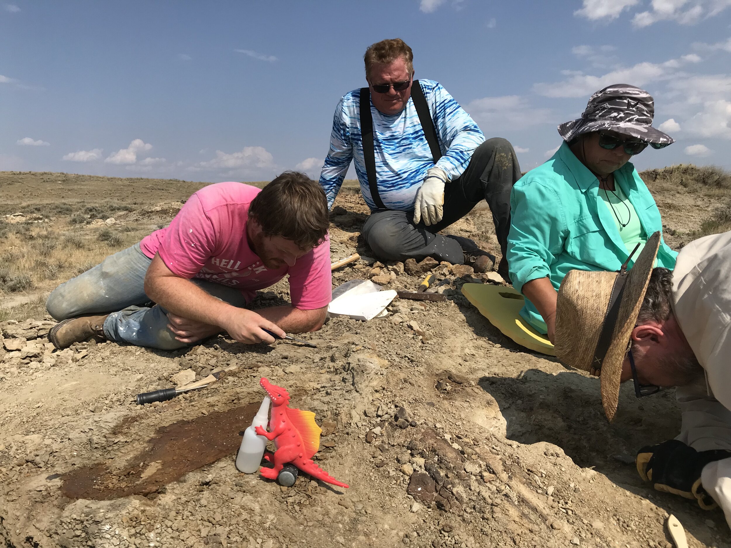 Dig up dinosaur bones and other fossils with Hell Creek Fossils